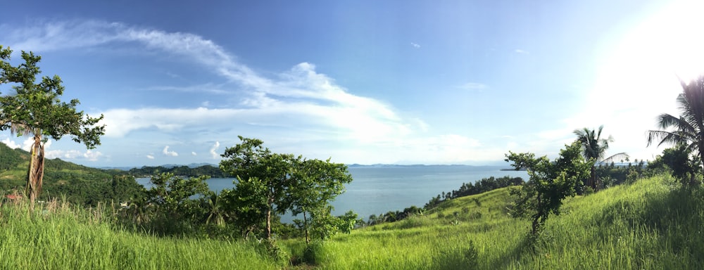 green grass field near body of water under blue sky during daytime