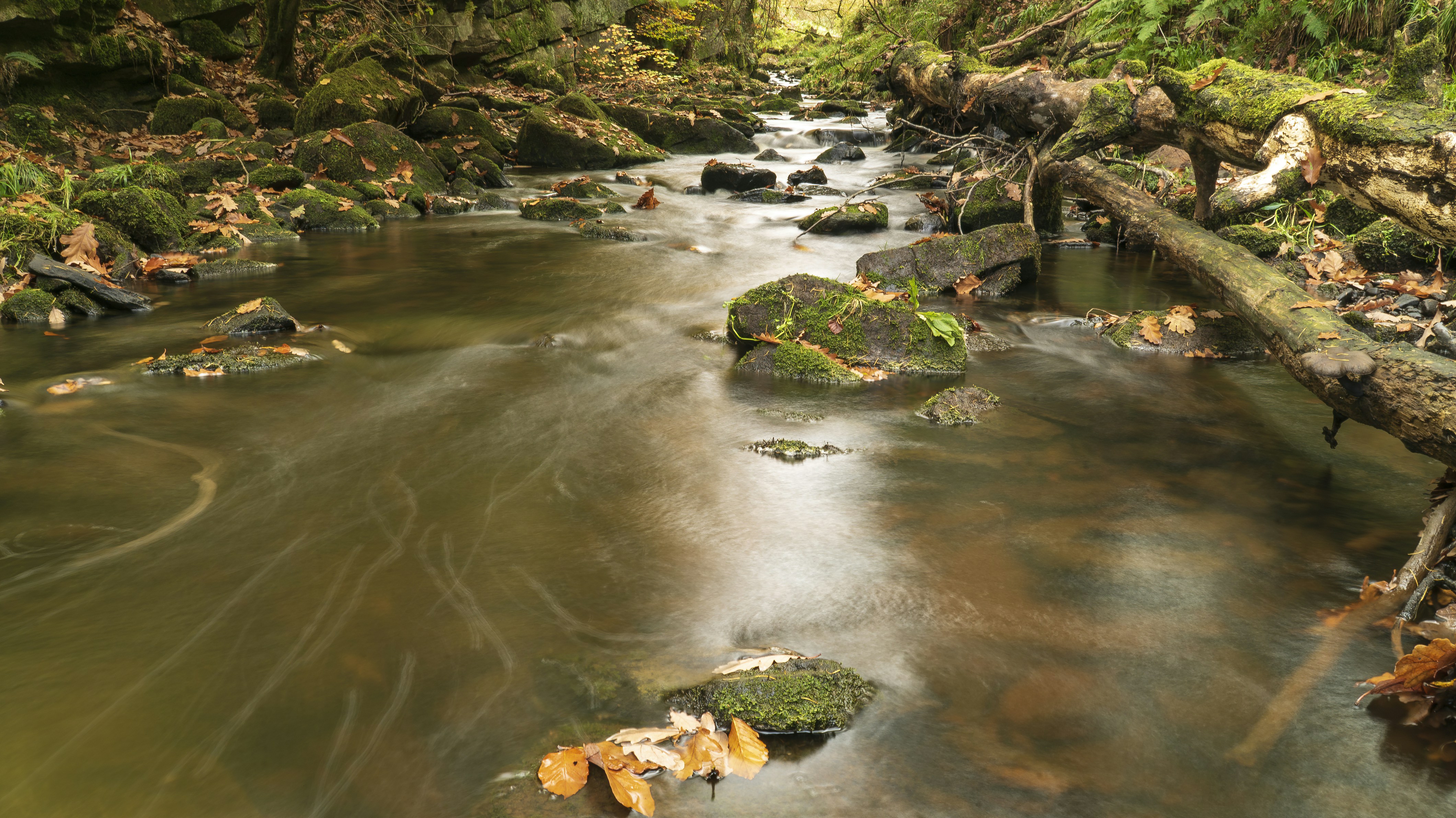 Photo by iankelsall1