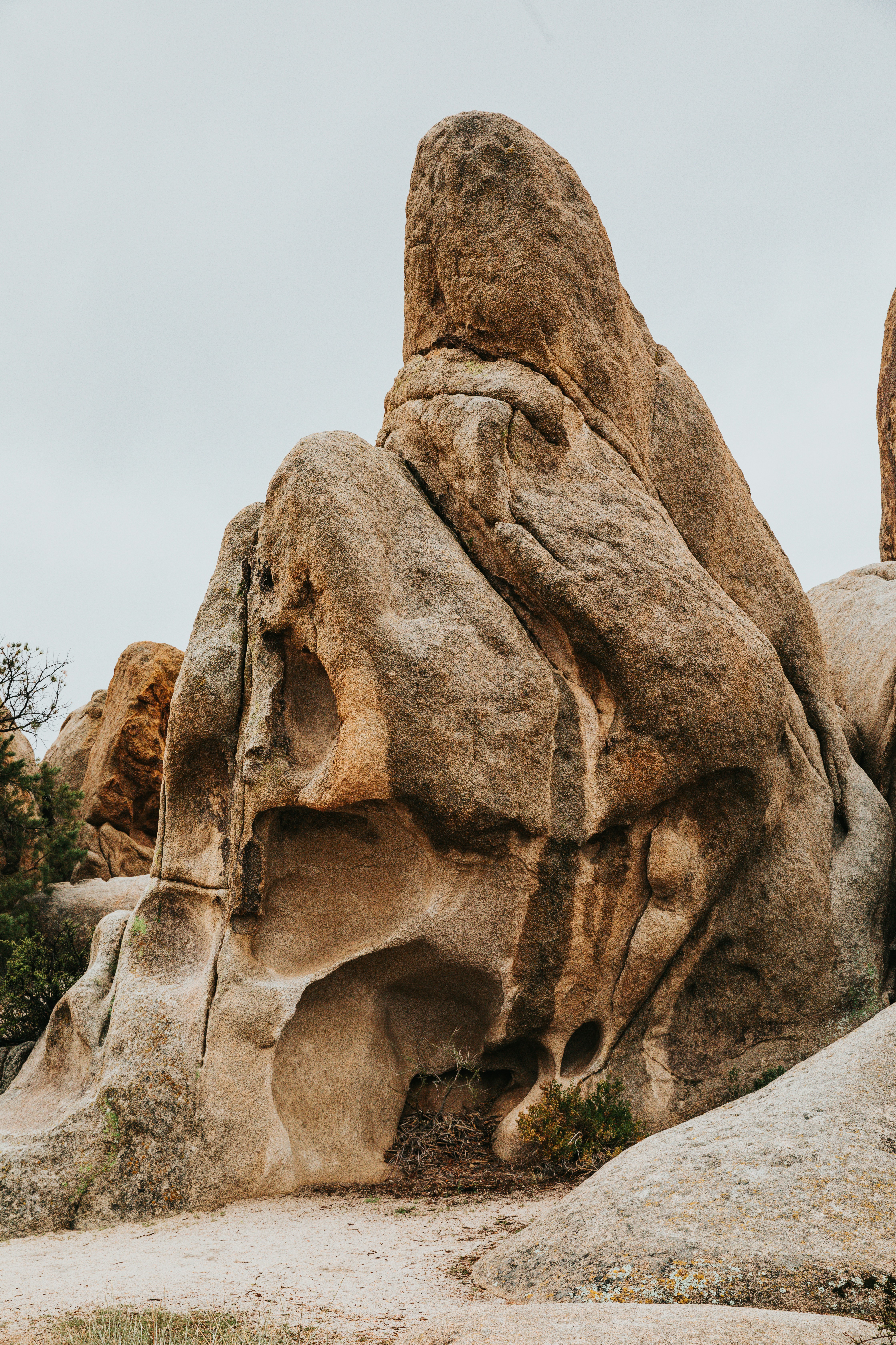 Photo by nate_dumlao