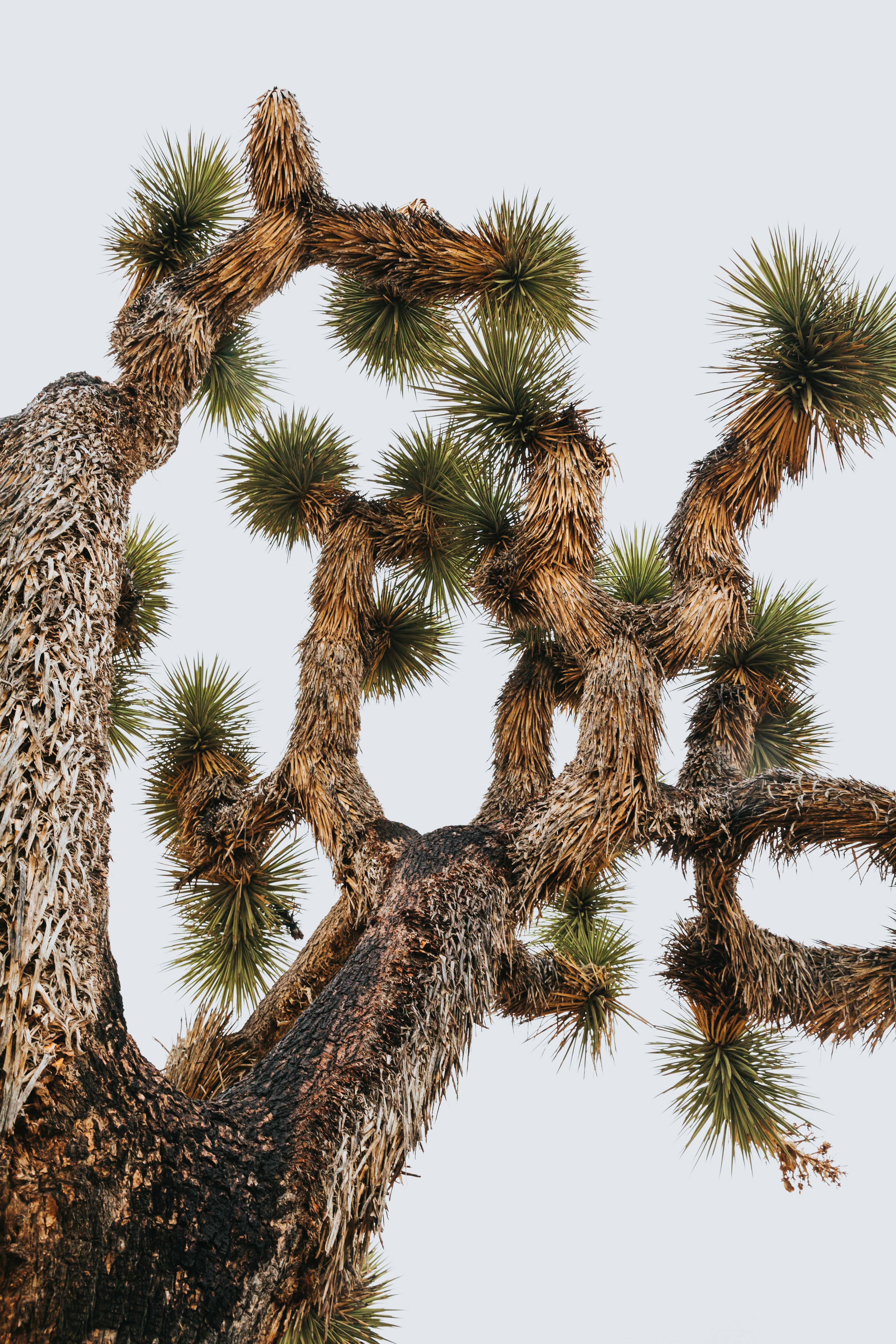 Photo by nate_dumlao