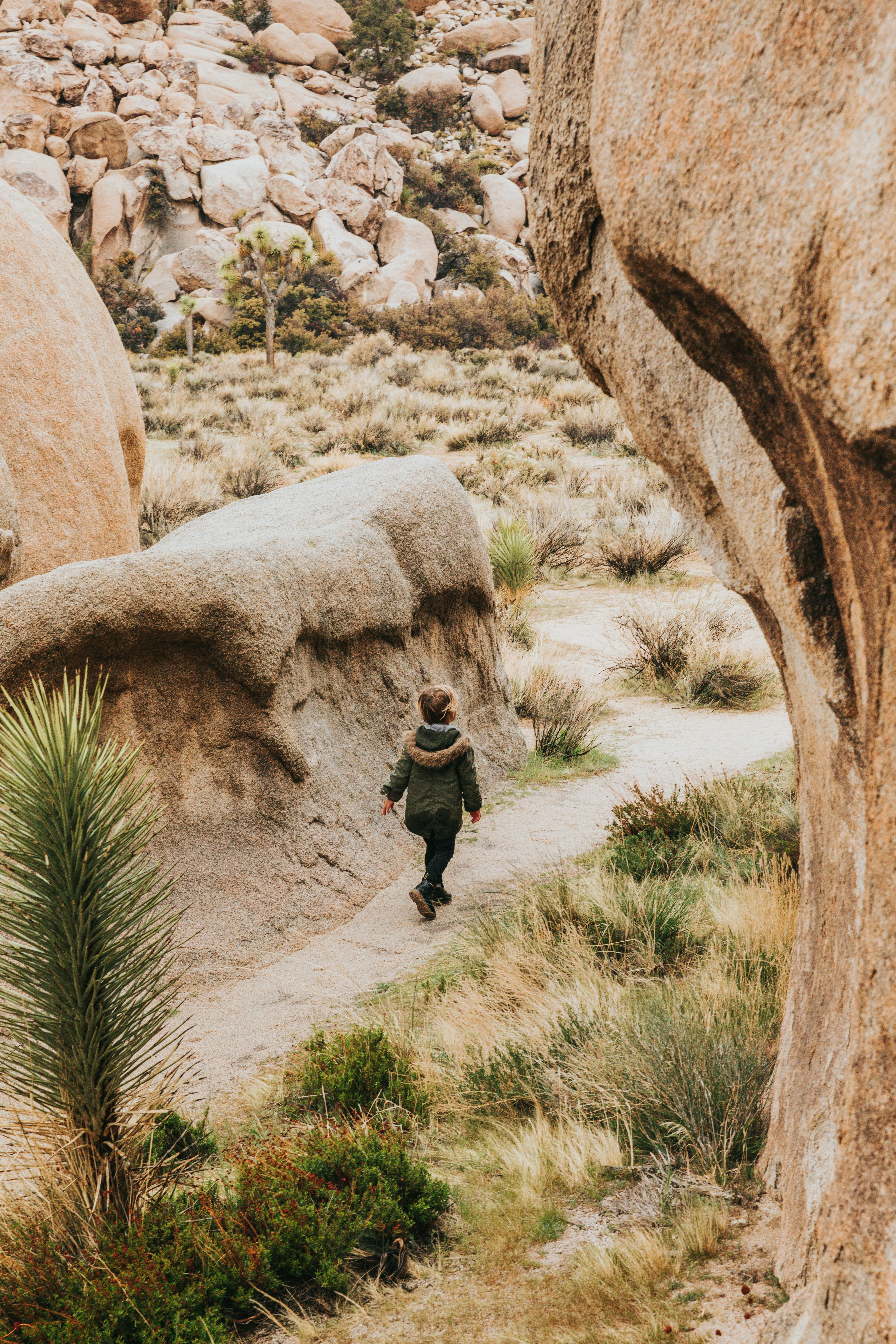 Photo by nate_dumlao