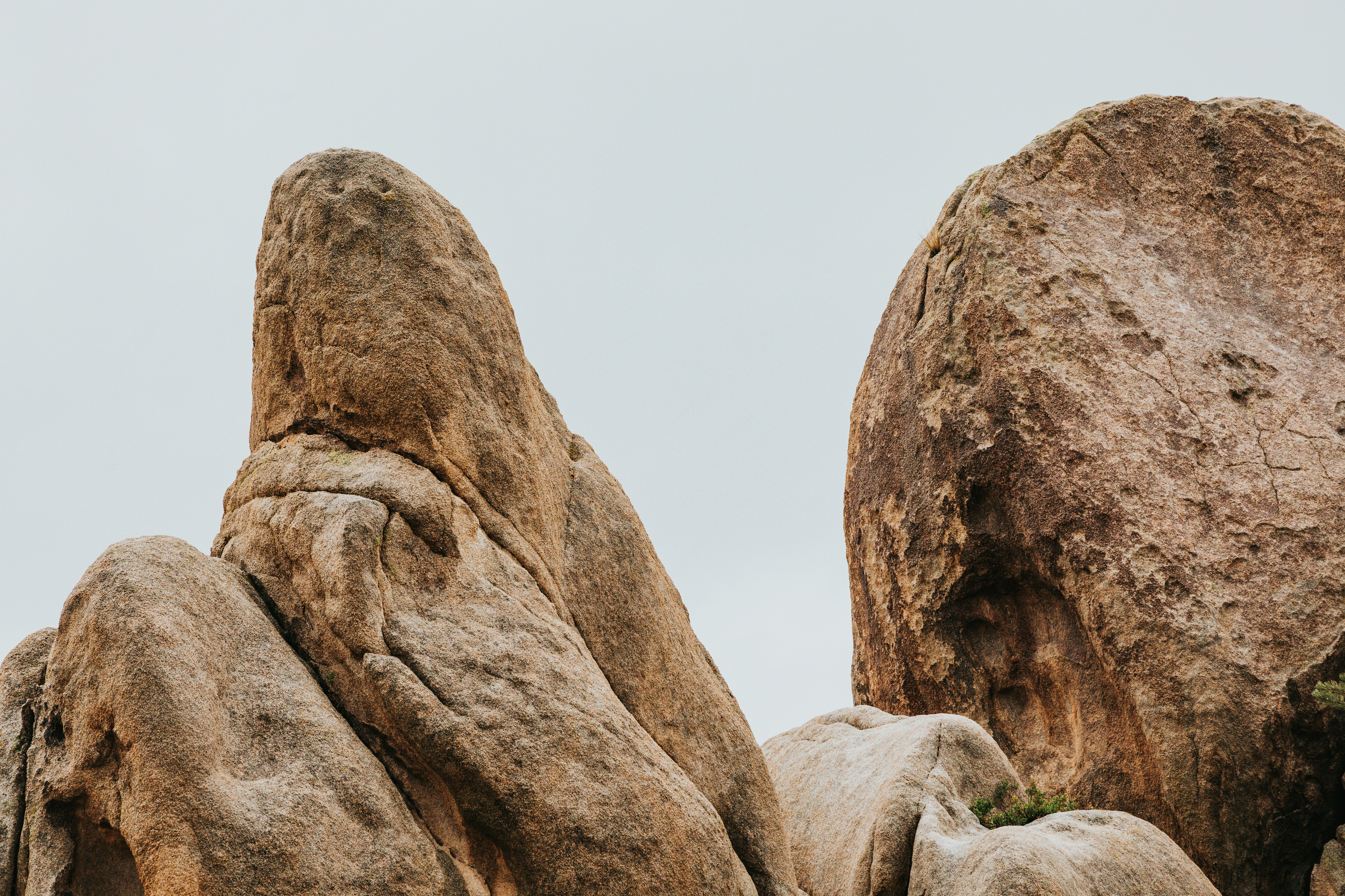 Photo by nate_dumlao