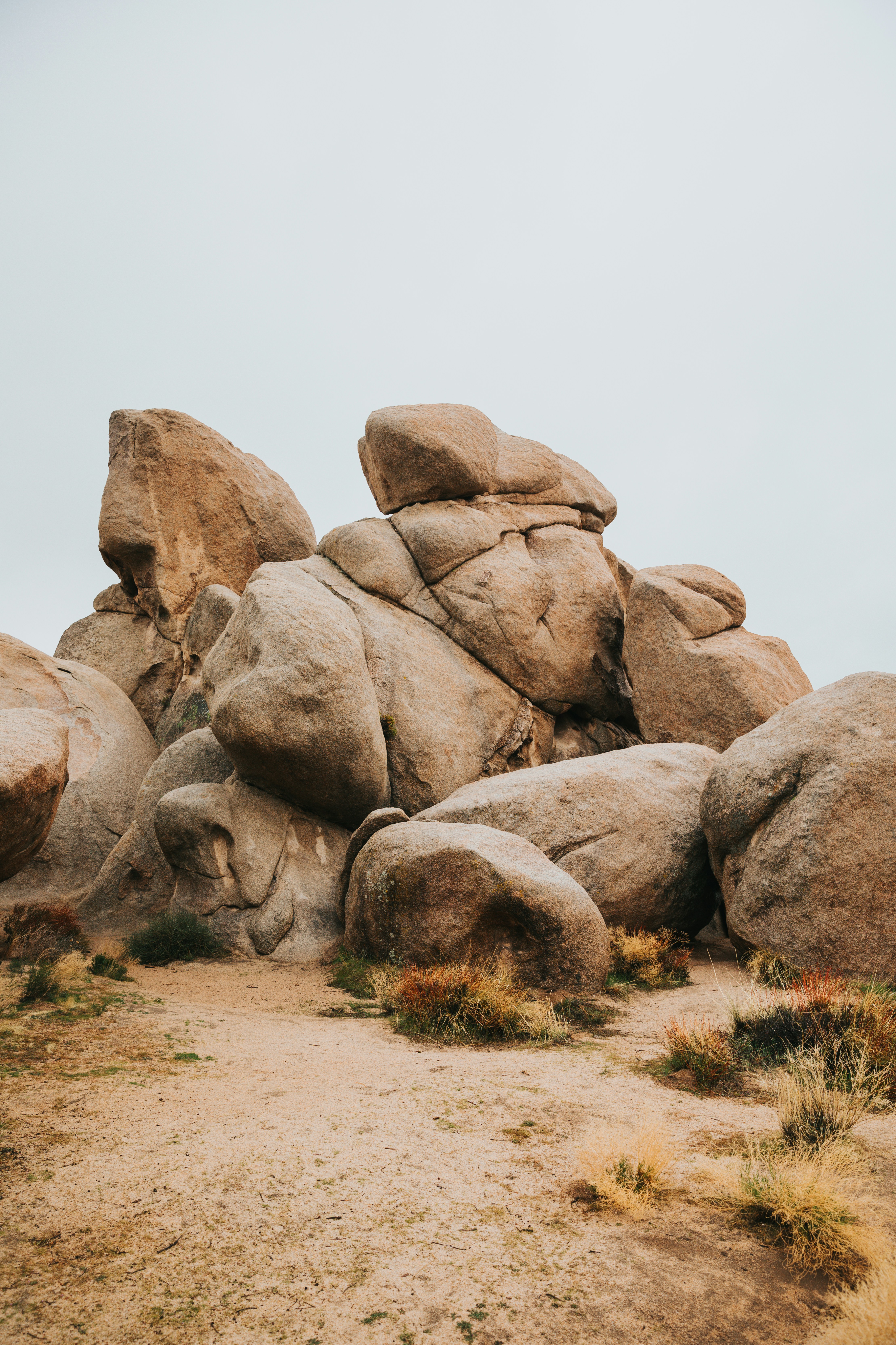 Photo by nate_dumlao