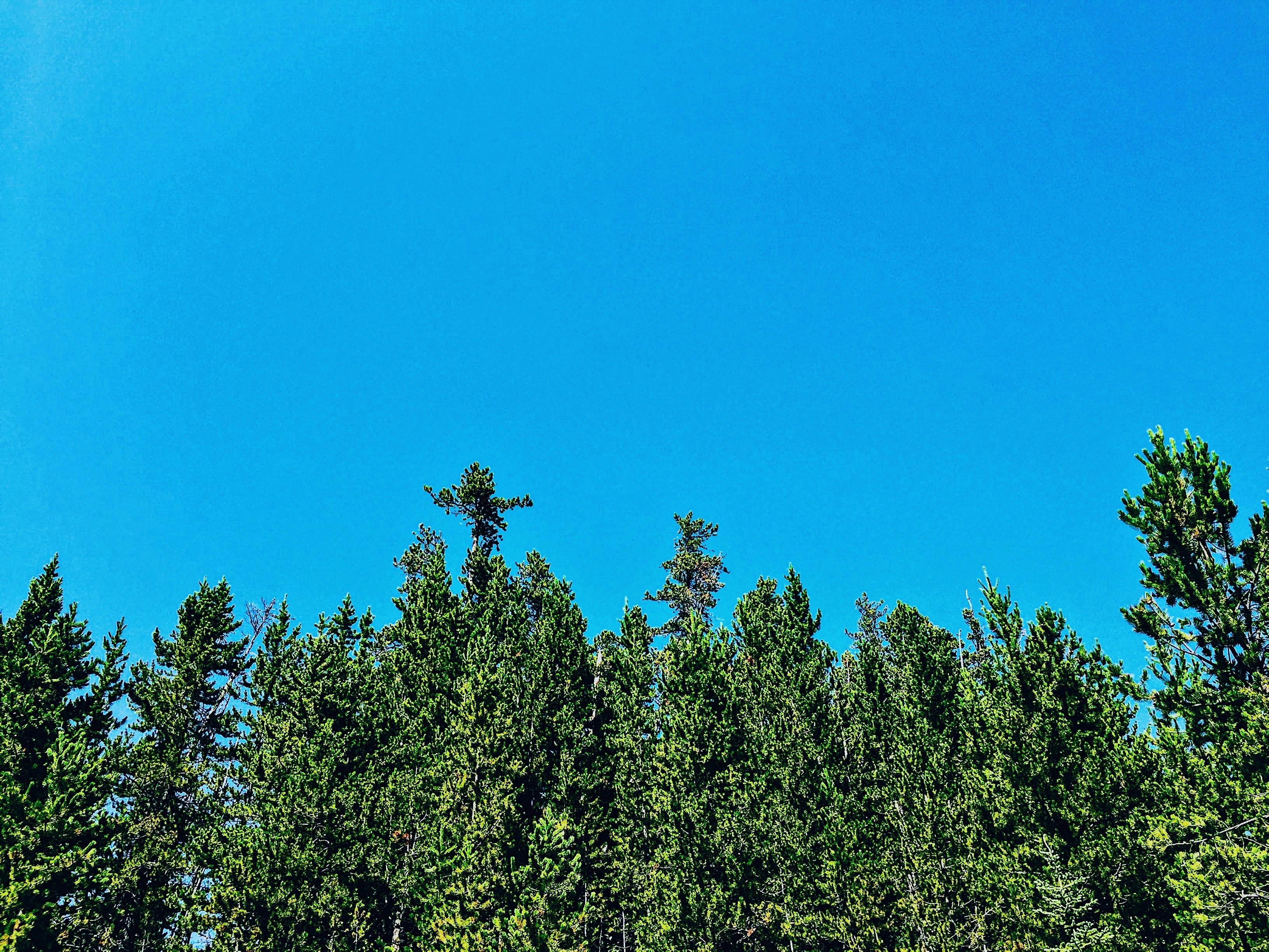 Photo by mollyyarcherr