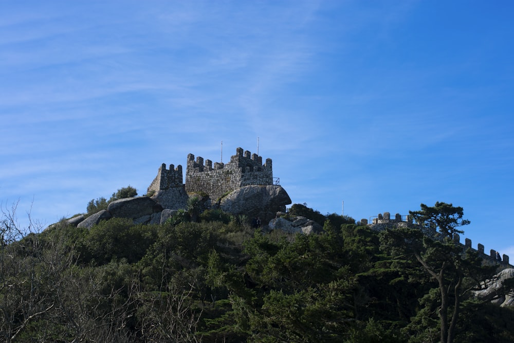 brown concrete castle under blue sky during daytime