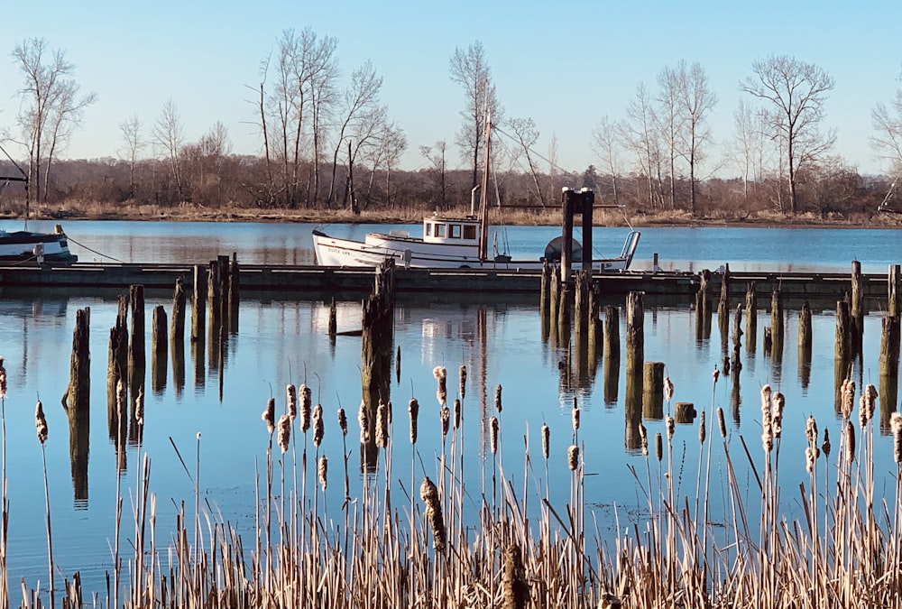 white and brown boat on dock during daytime