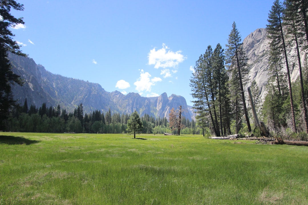 Yosemite 2023: Beat the Crowds by Reserving Your Spot Early - Check… — Yosemite 2023