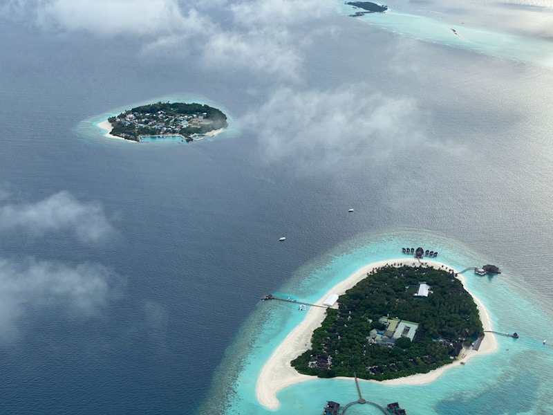 Pebble Island Settlement