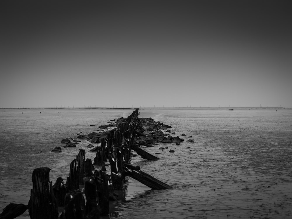 grayscale photo of wooden poles on beach