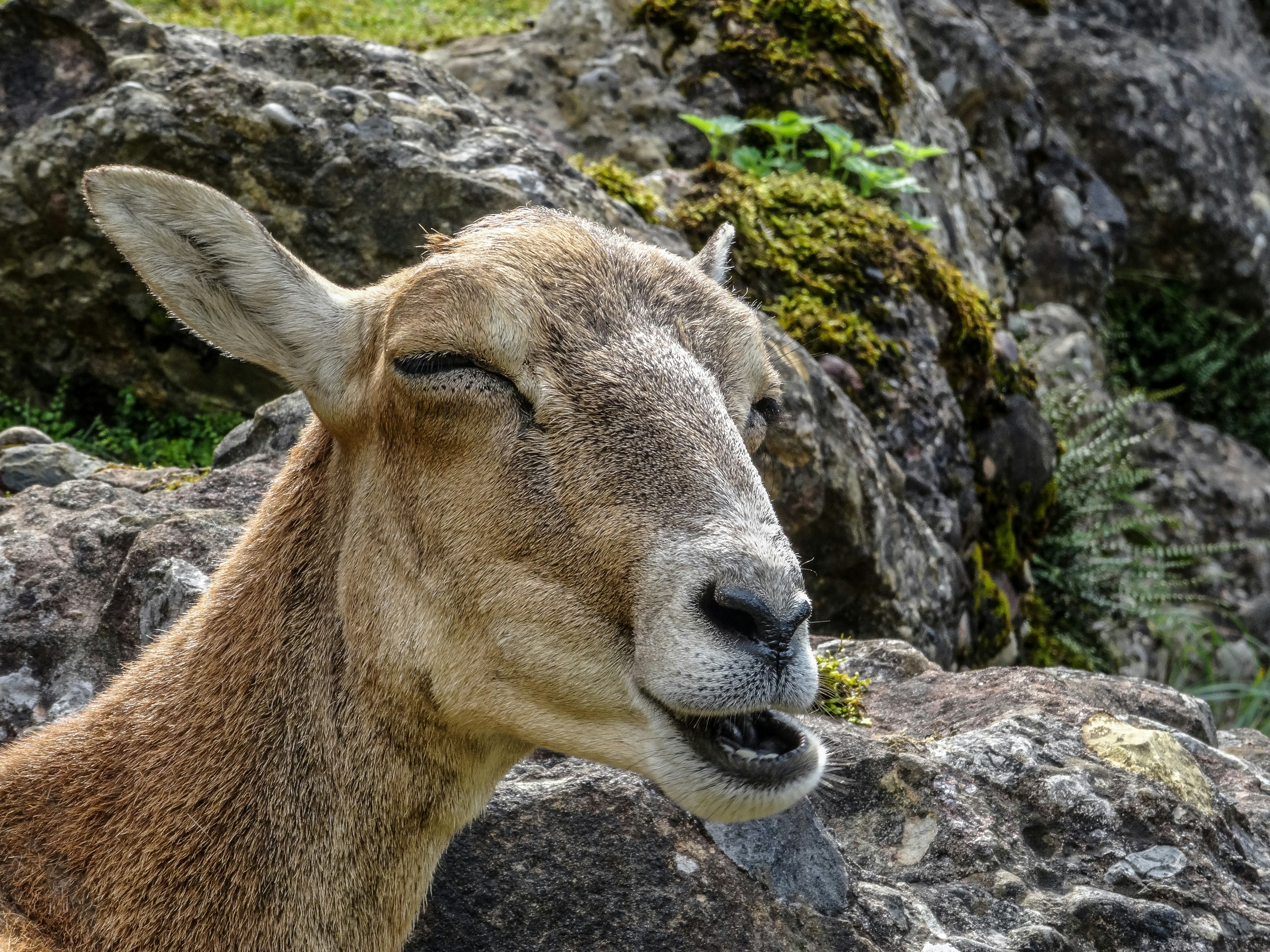 Photo by matthiasspeicher