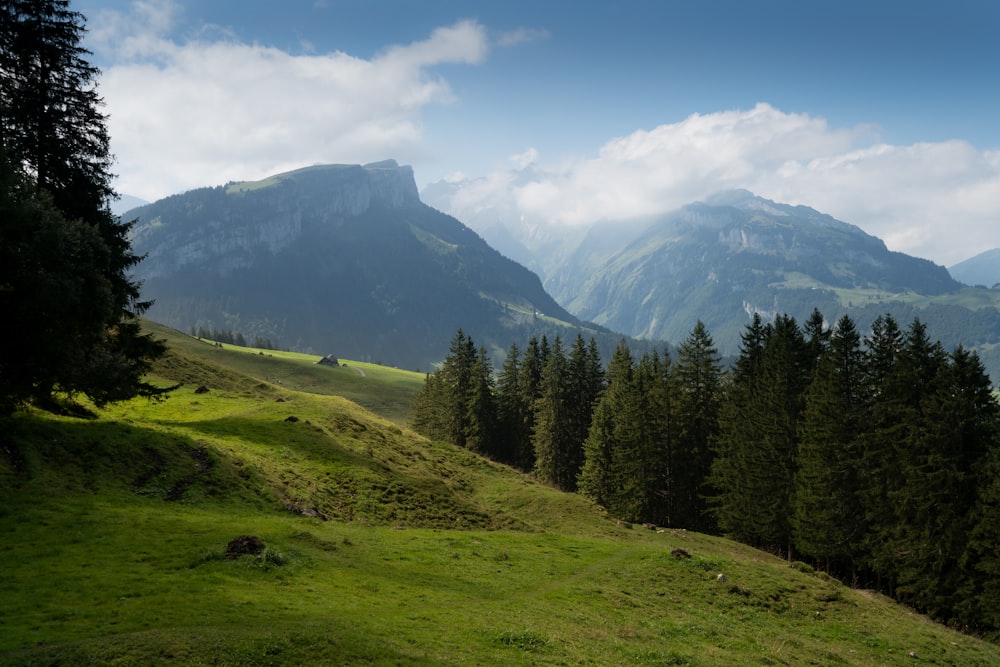 green grass field and green trees on mountain under blue sky and white clouds during daytime