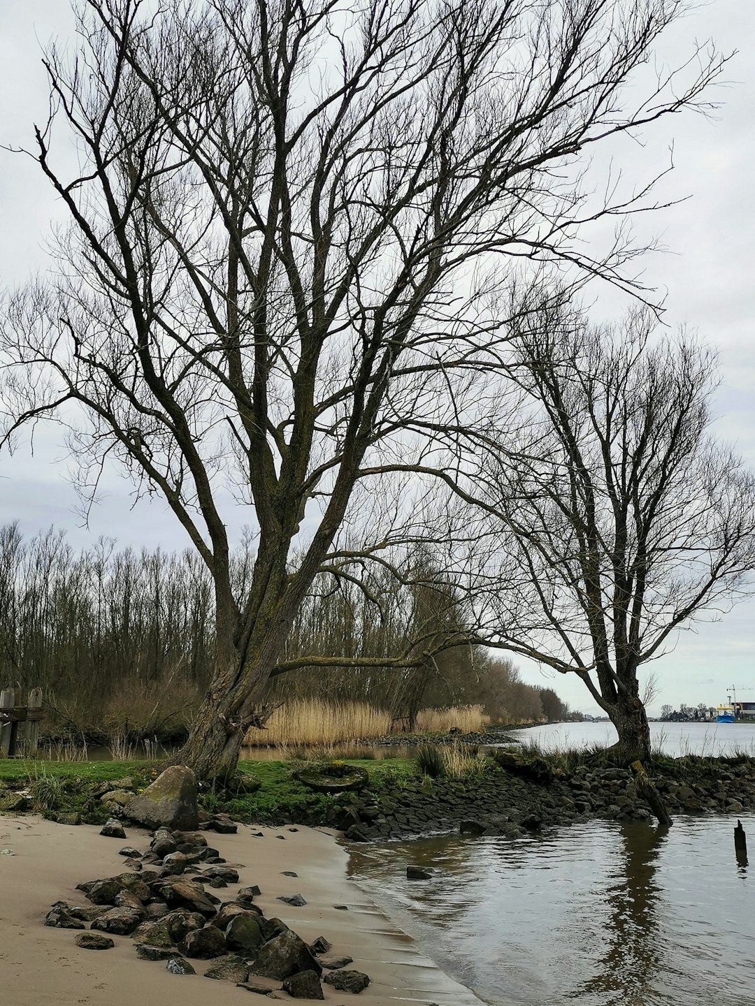 River photo spot Ridderkerk Maasvlakte Rotterdam