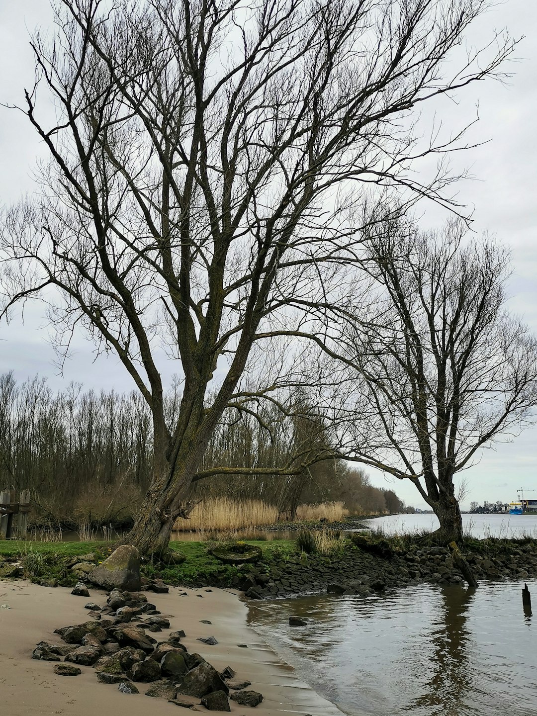 travelers stories about River in Ridderkerk, Netherlands