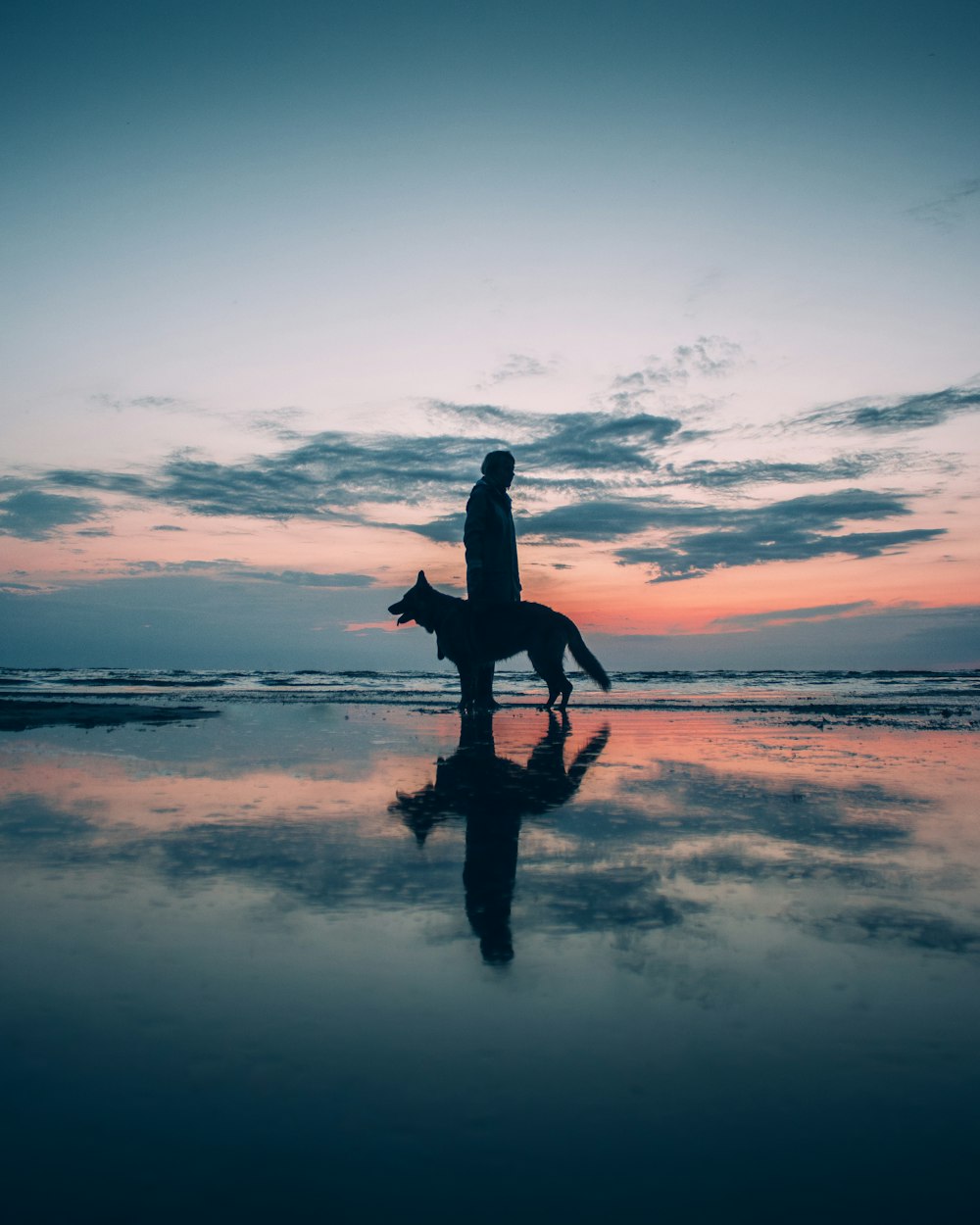 silhouette of person walking on beach during sunset