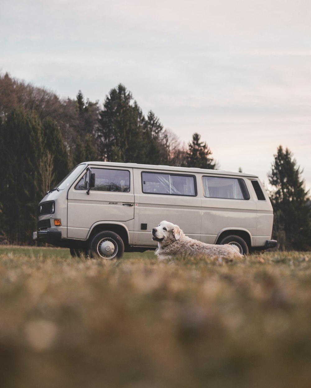 white van on brown grass field during daytime