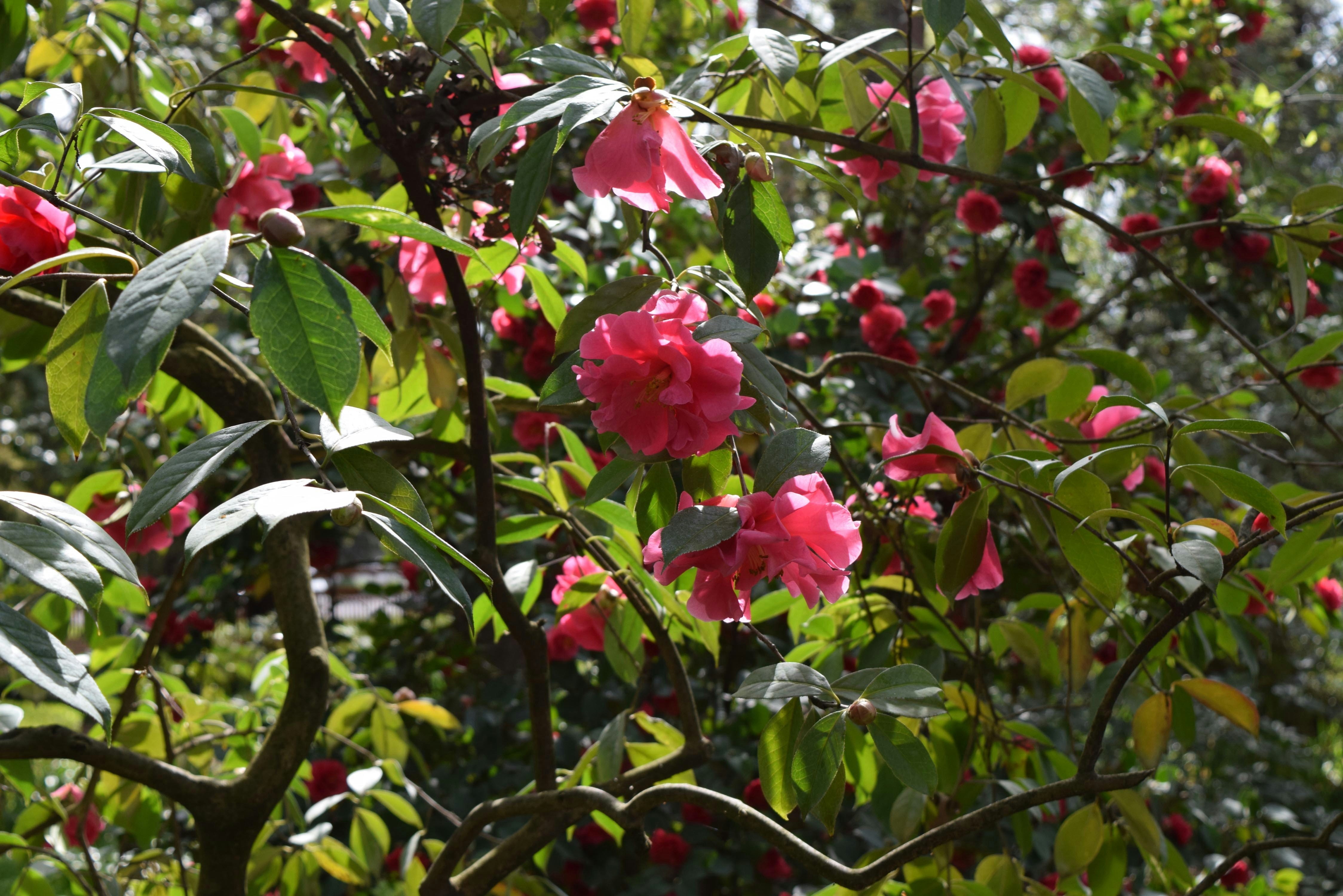 Photo by db_pacini_christensen