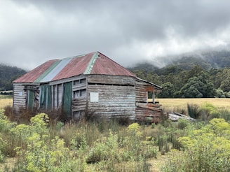 brown wooden house on green grass field under cloudy sky during daytime