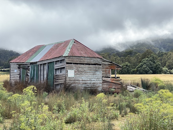 brown wooden house on green grass field under cloudy sky during daytime
