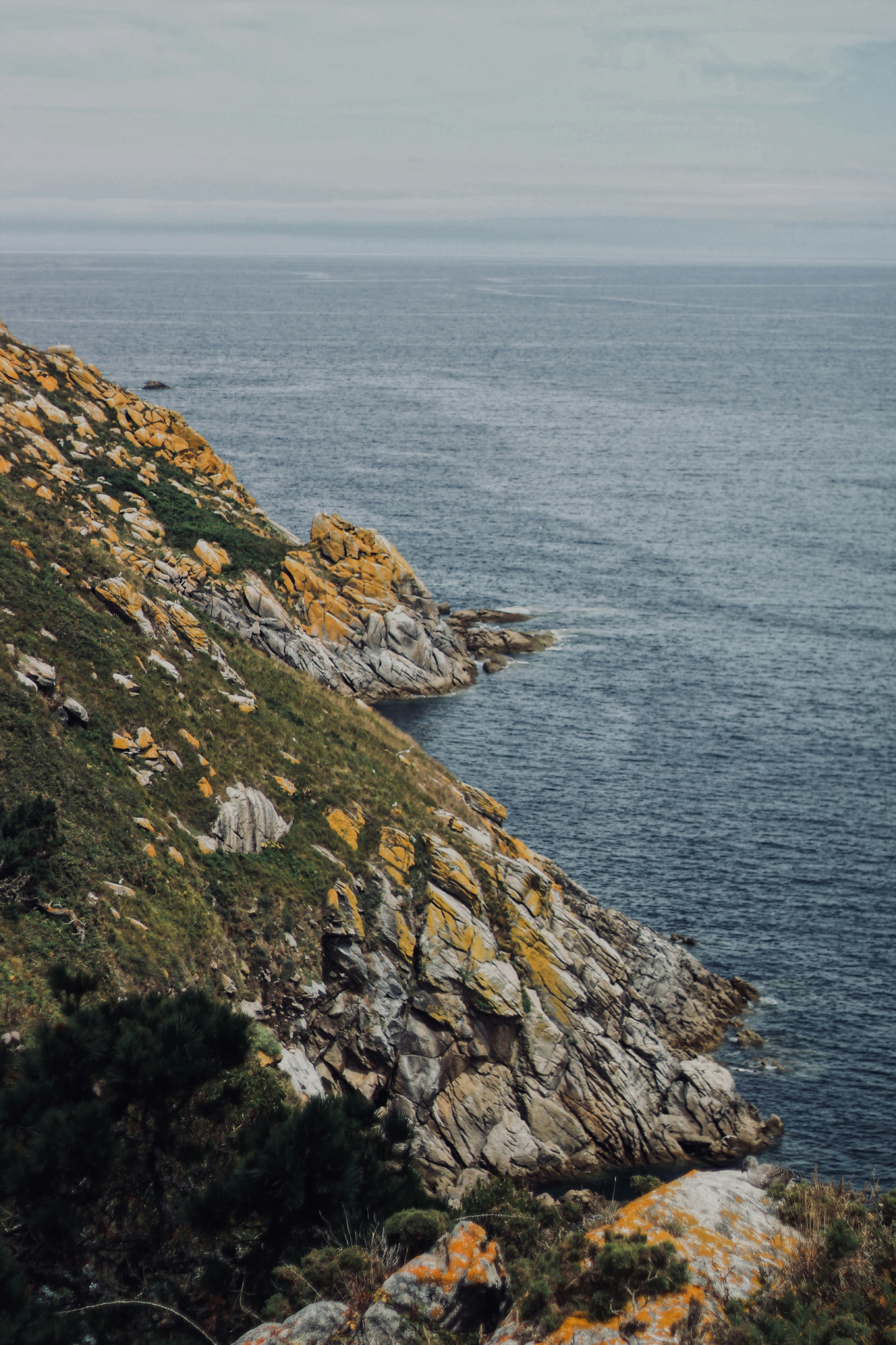 Photo by davidalvarez_16