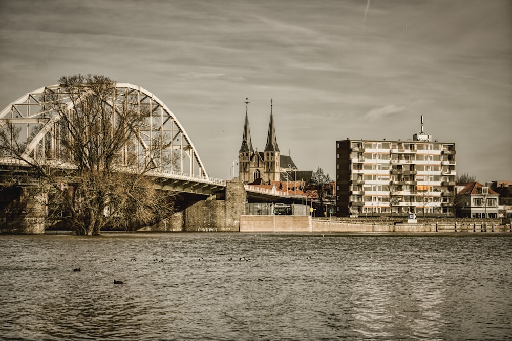 Puente de hormigón marrón sobre el río