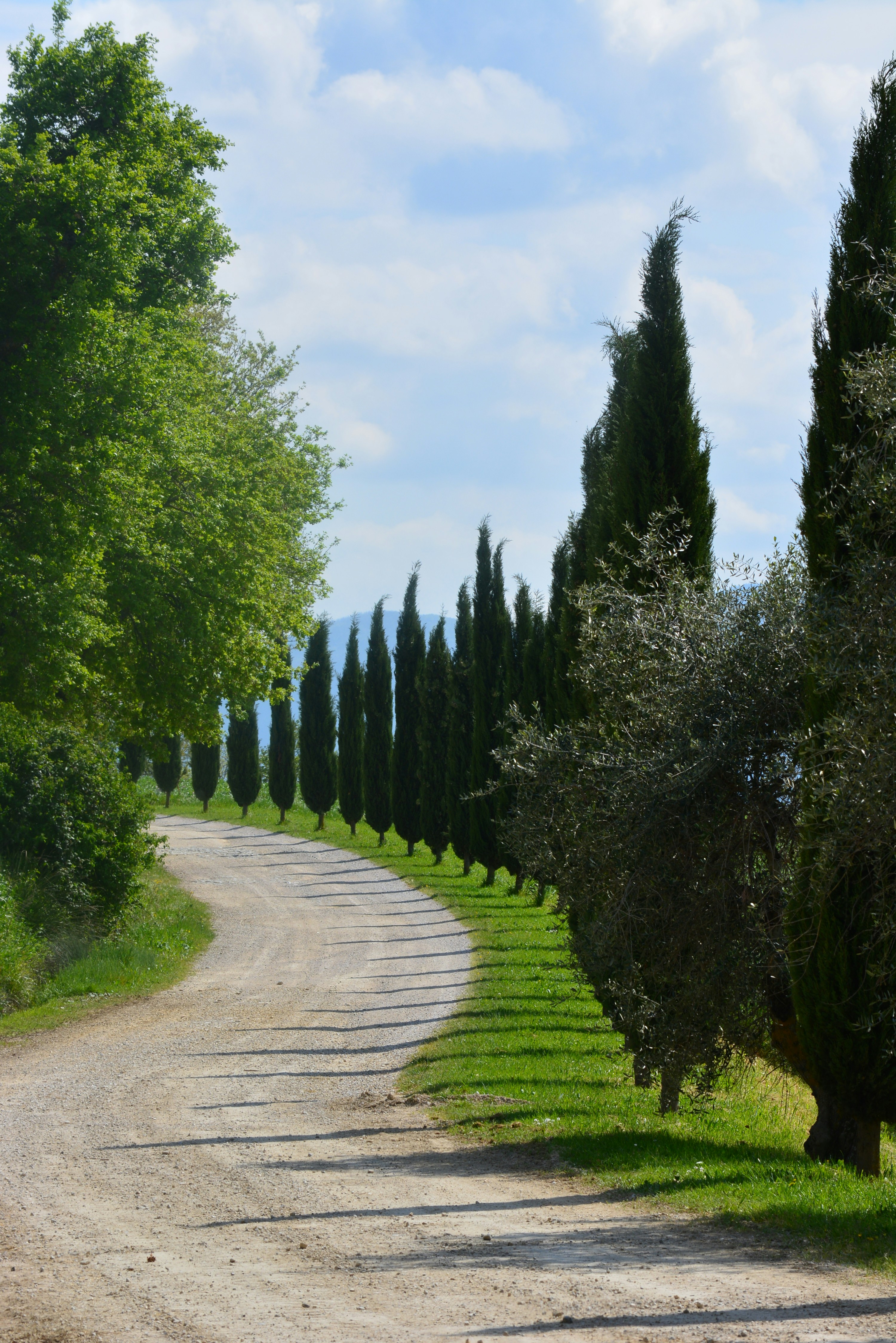 Photo by pedrino5_official