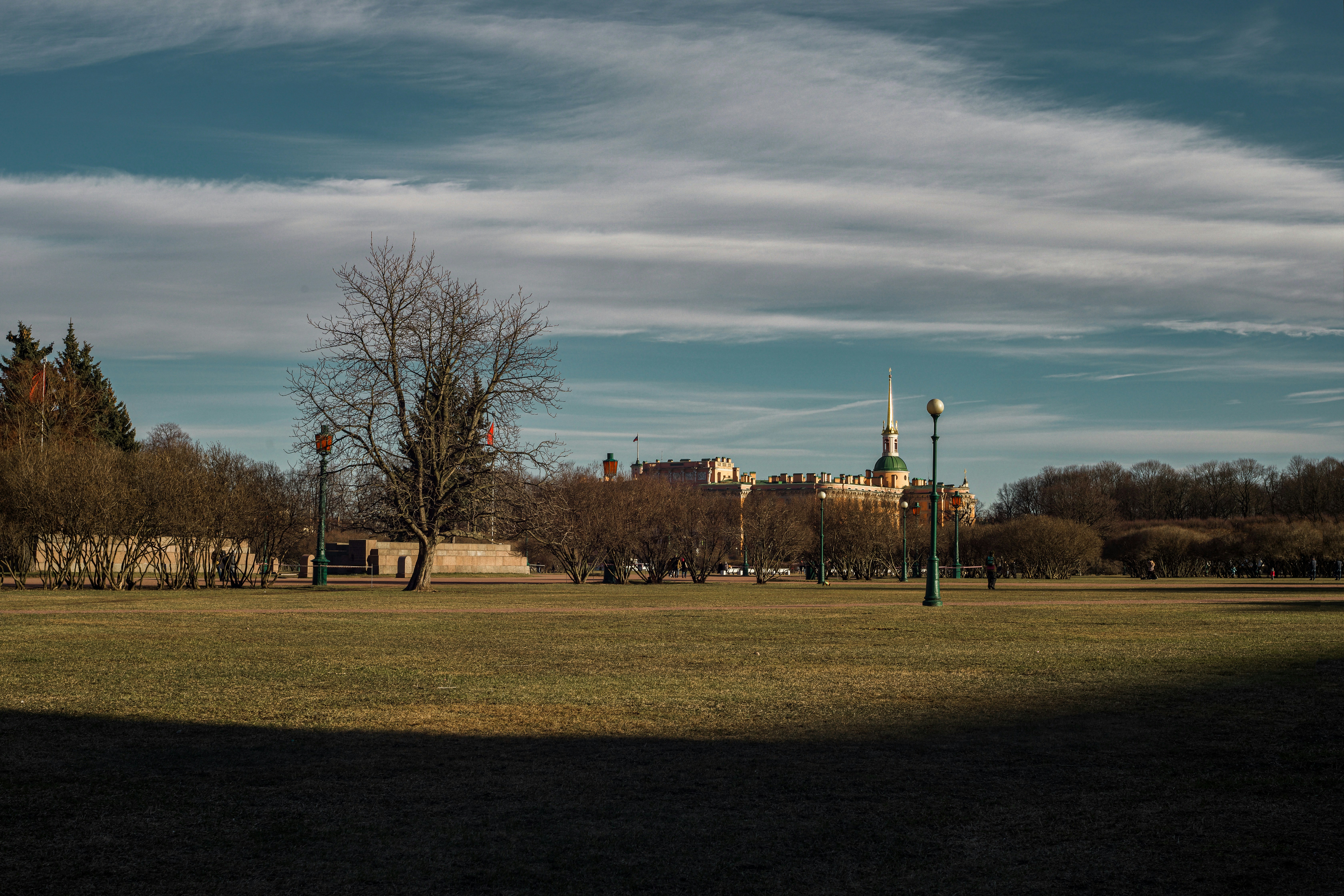 Skinner Playfield
