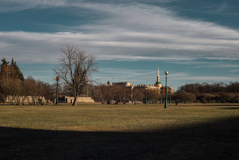 bare trees on green grass field under blue sky during daytime