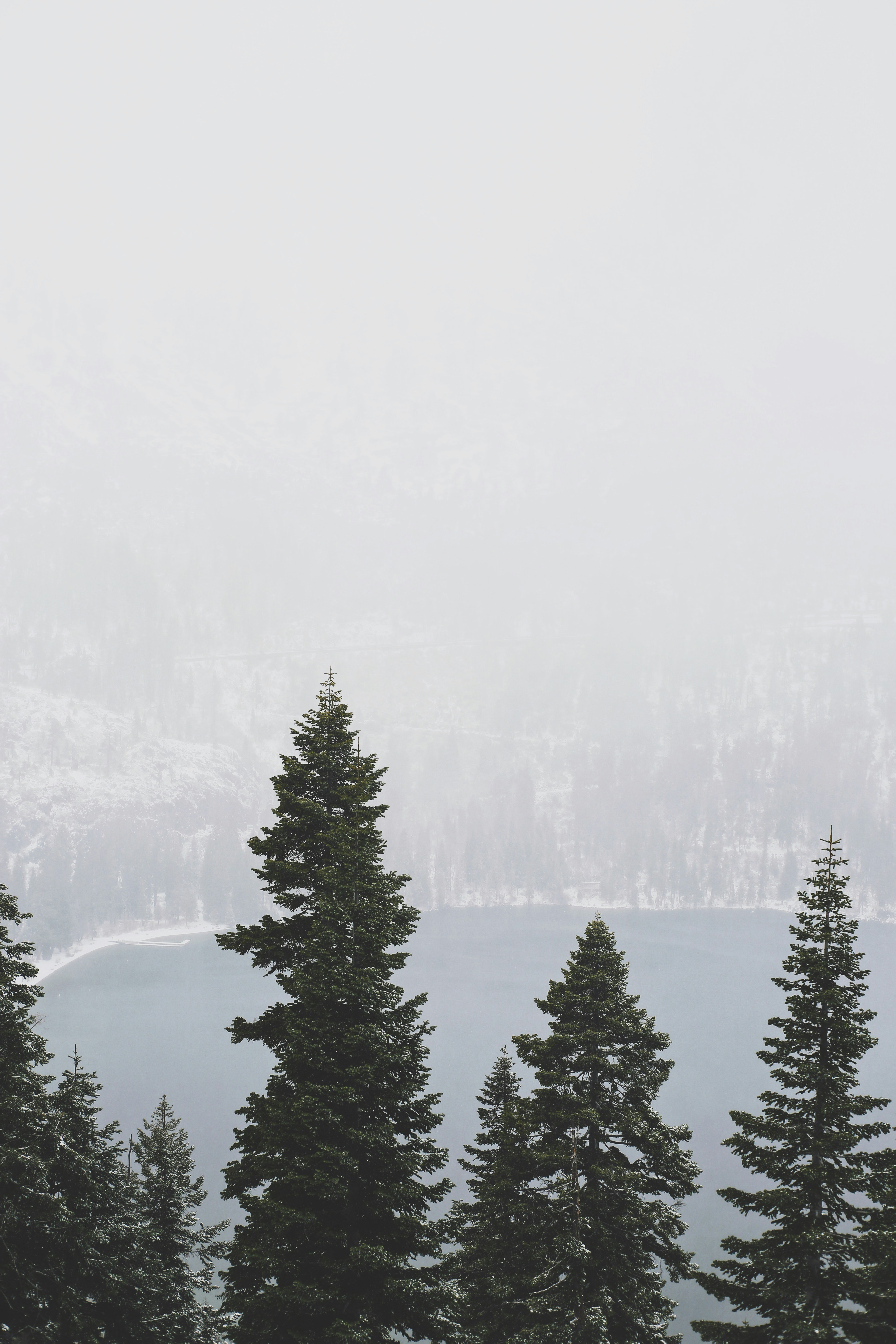 Photo by giorgiotrovato