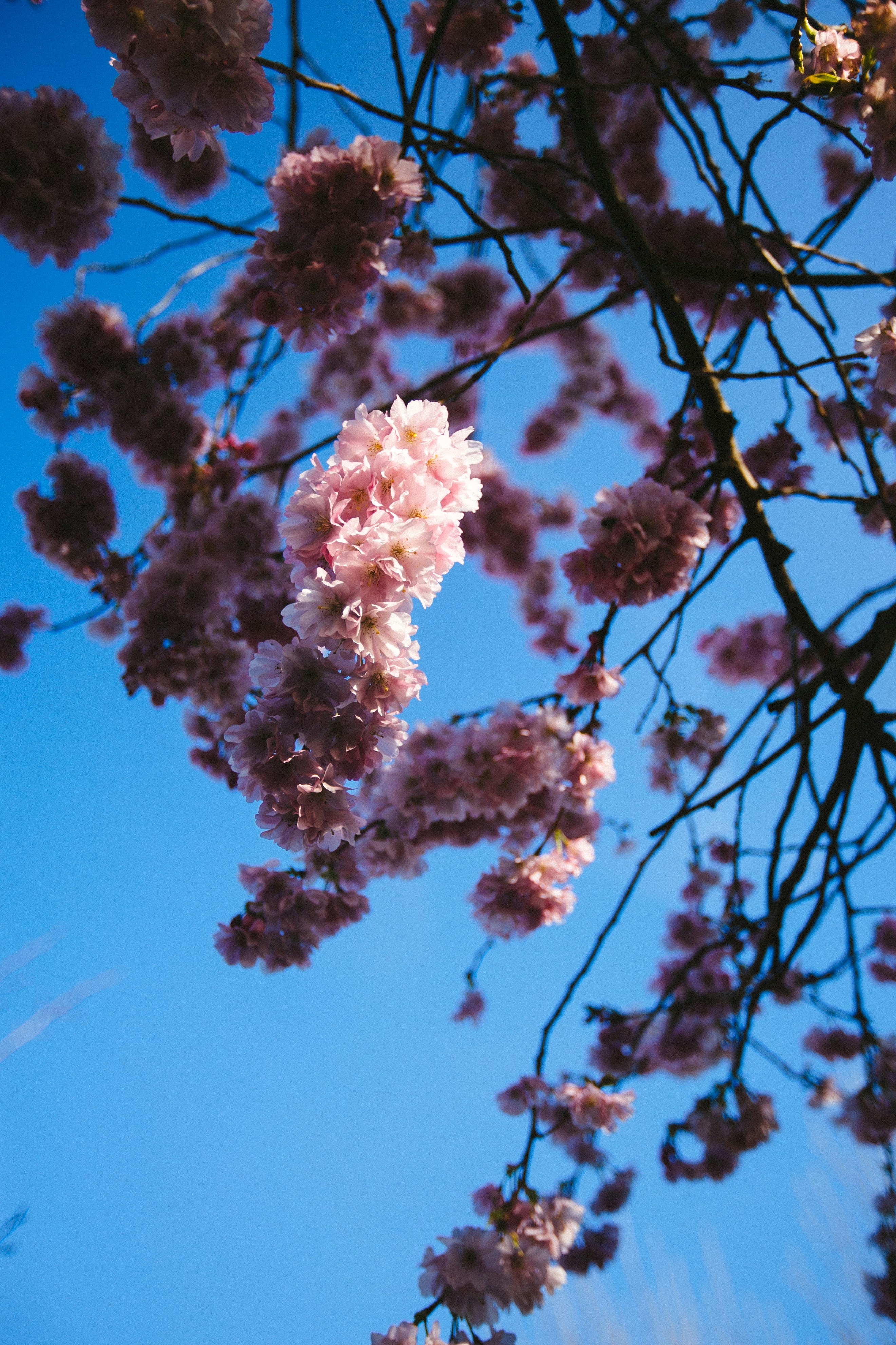 Photo by philhearing