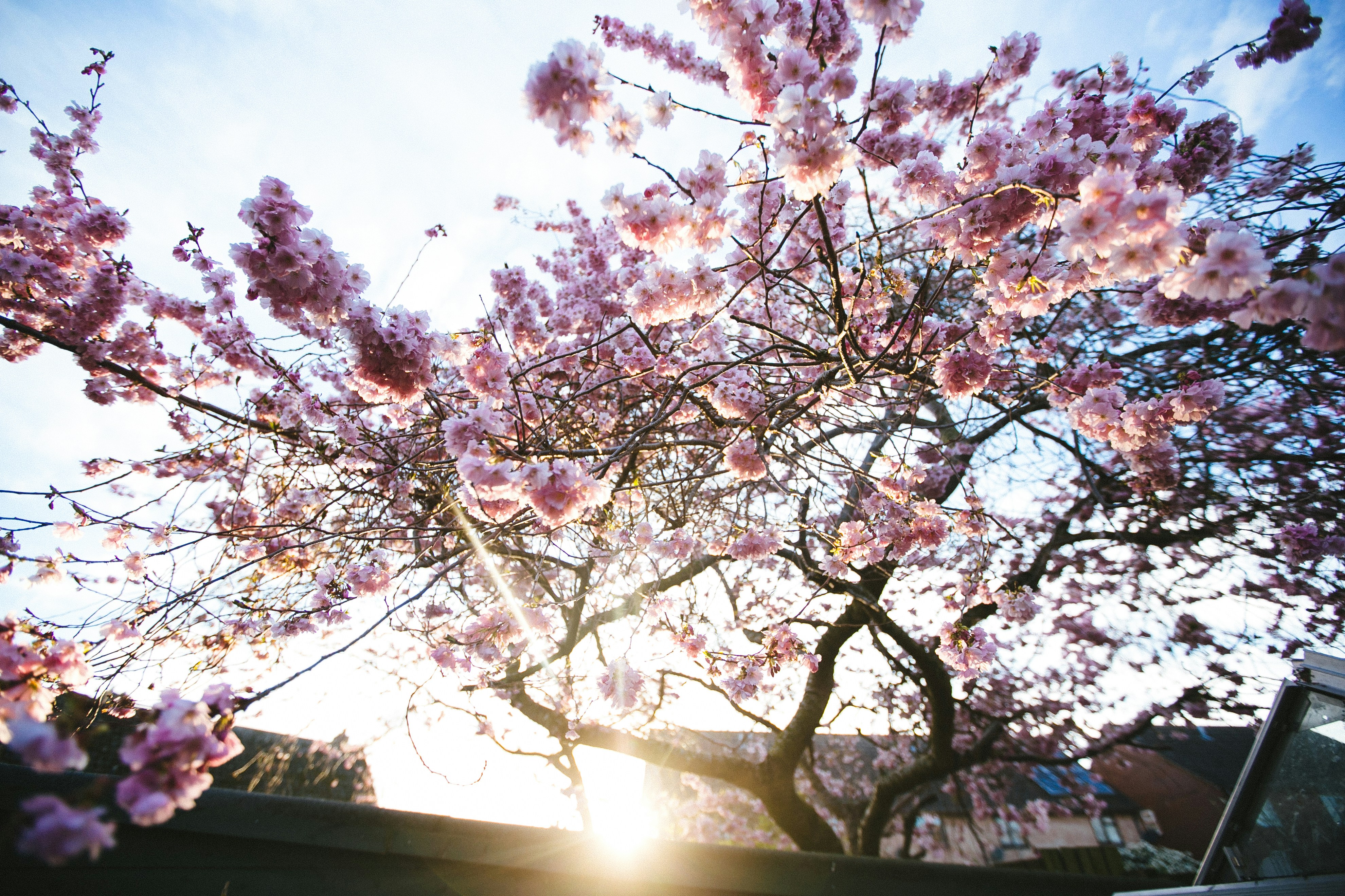 Photo by philhearing