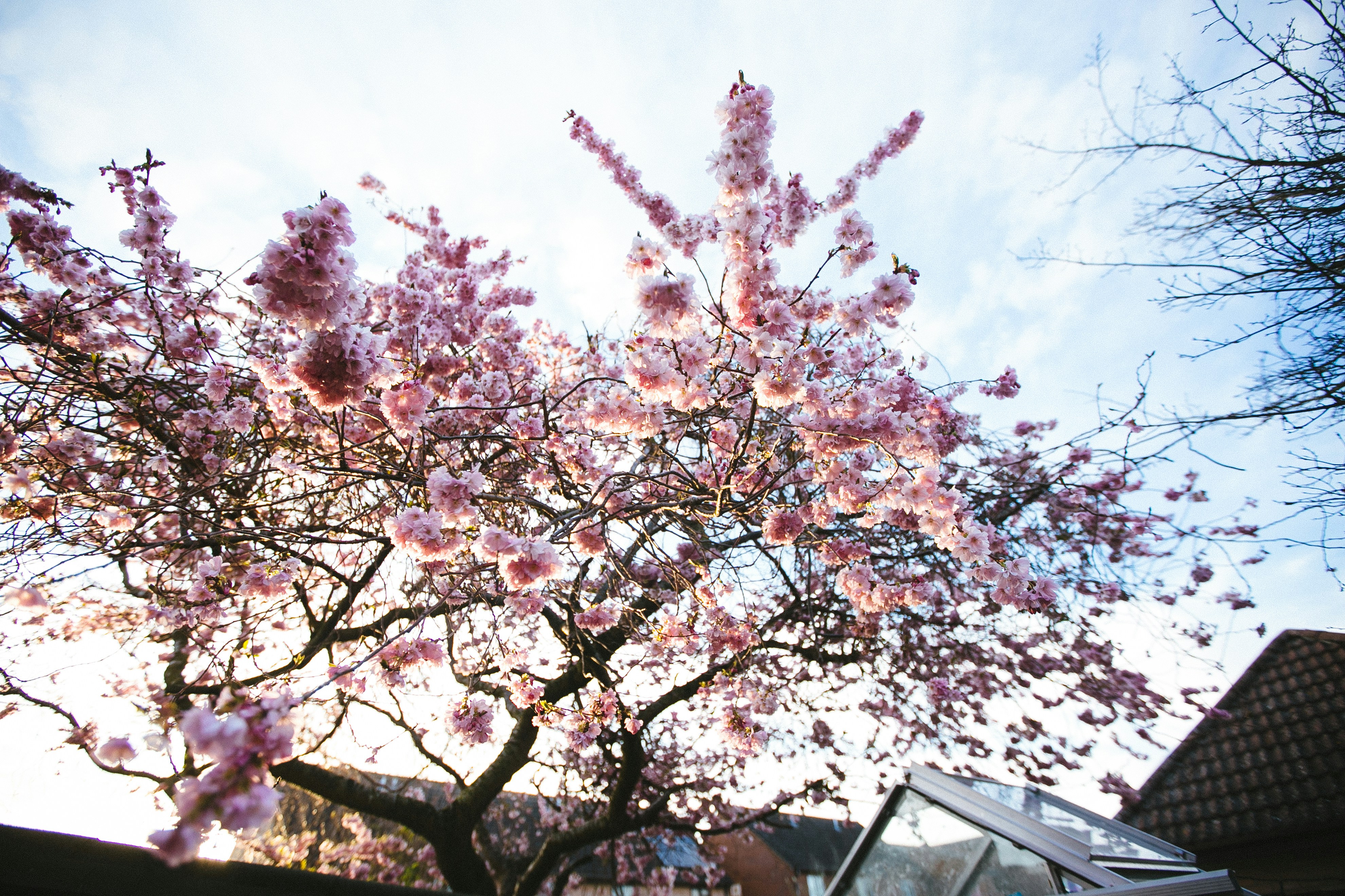 Photo by philhearing