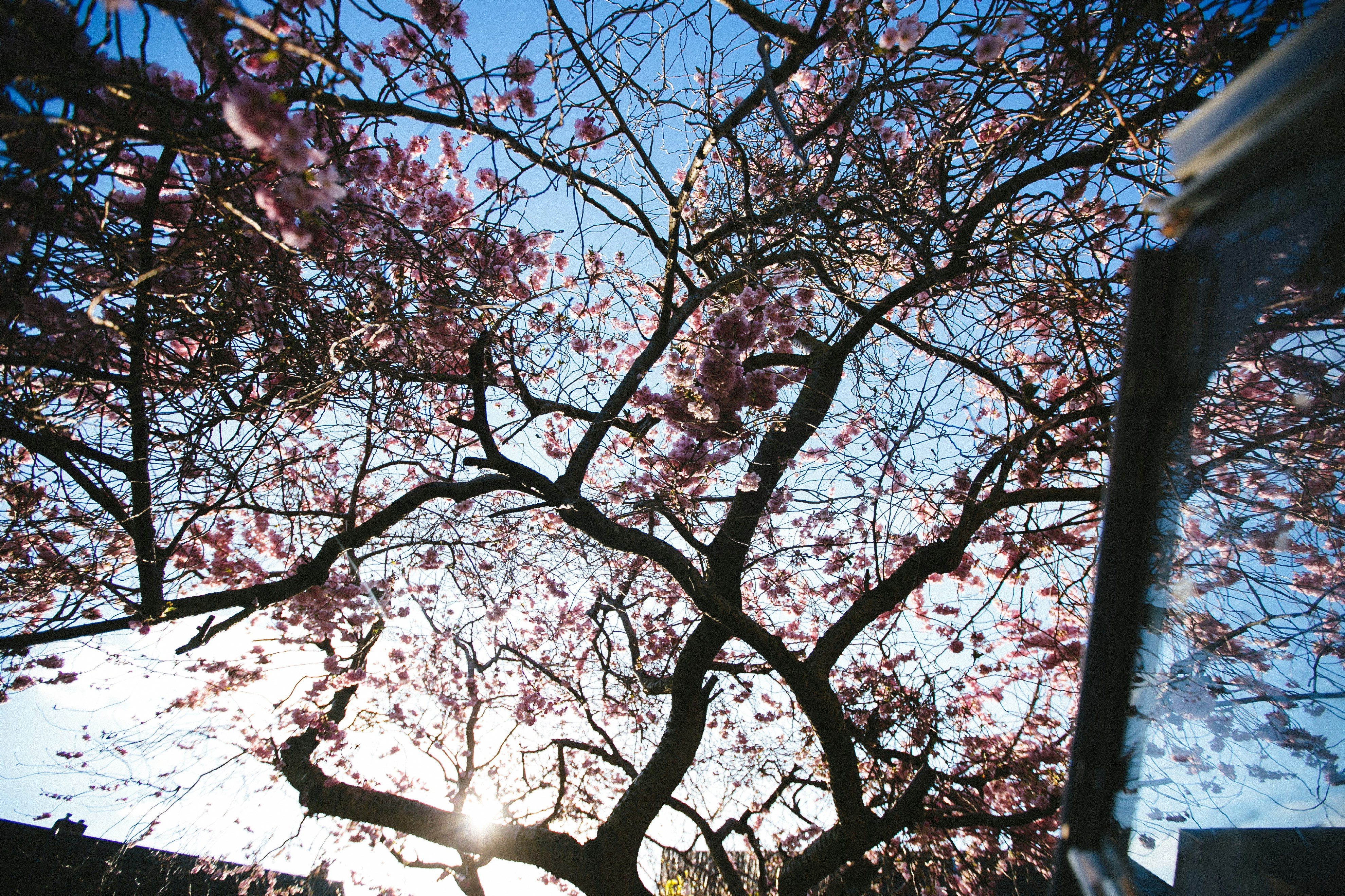 Photo by philhearing