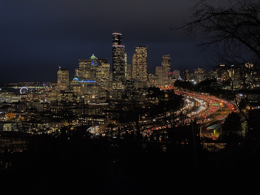 city skyline during night time