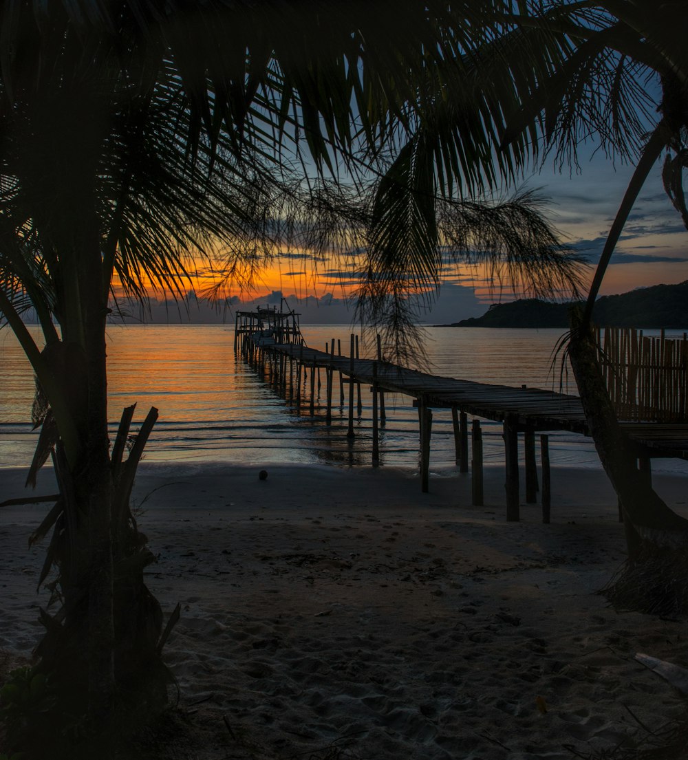 brown wooden dock on beach during sunset