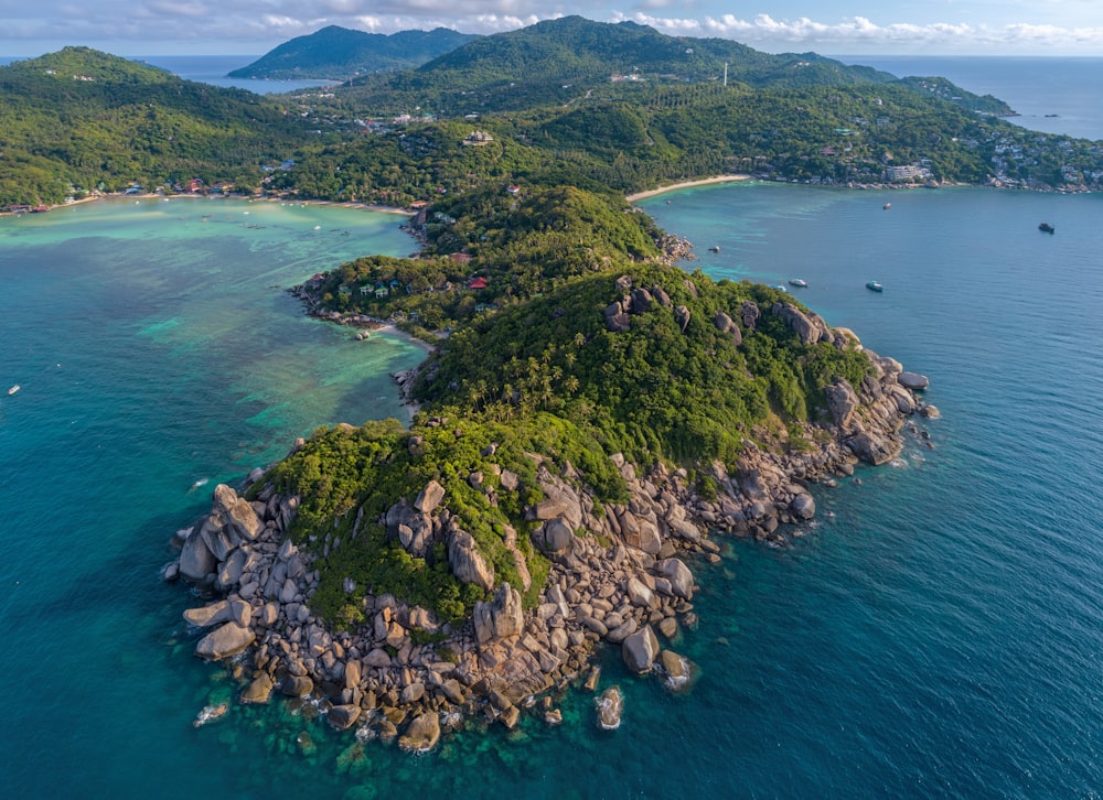 alberi verdi sulla montagna accanto al mare durante il giorno