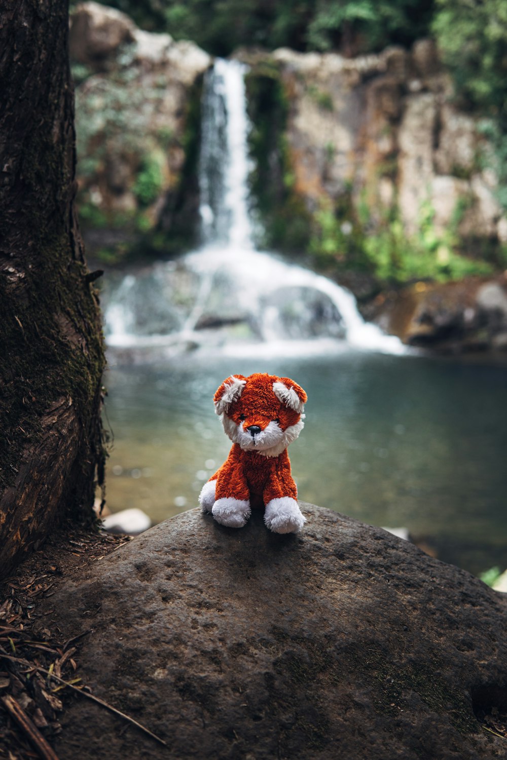 a teddy bear sitting on a rock in front of a waterfall