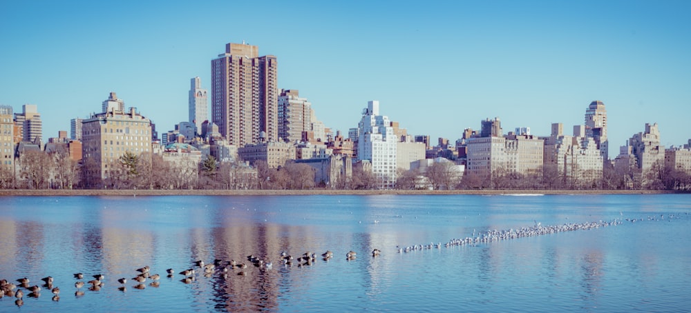 Skyline der Stadt tagsüber unter blauem Himmel