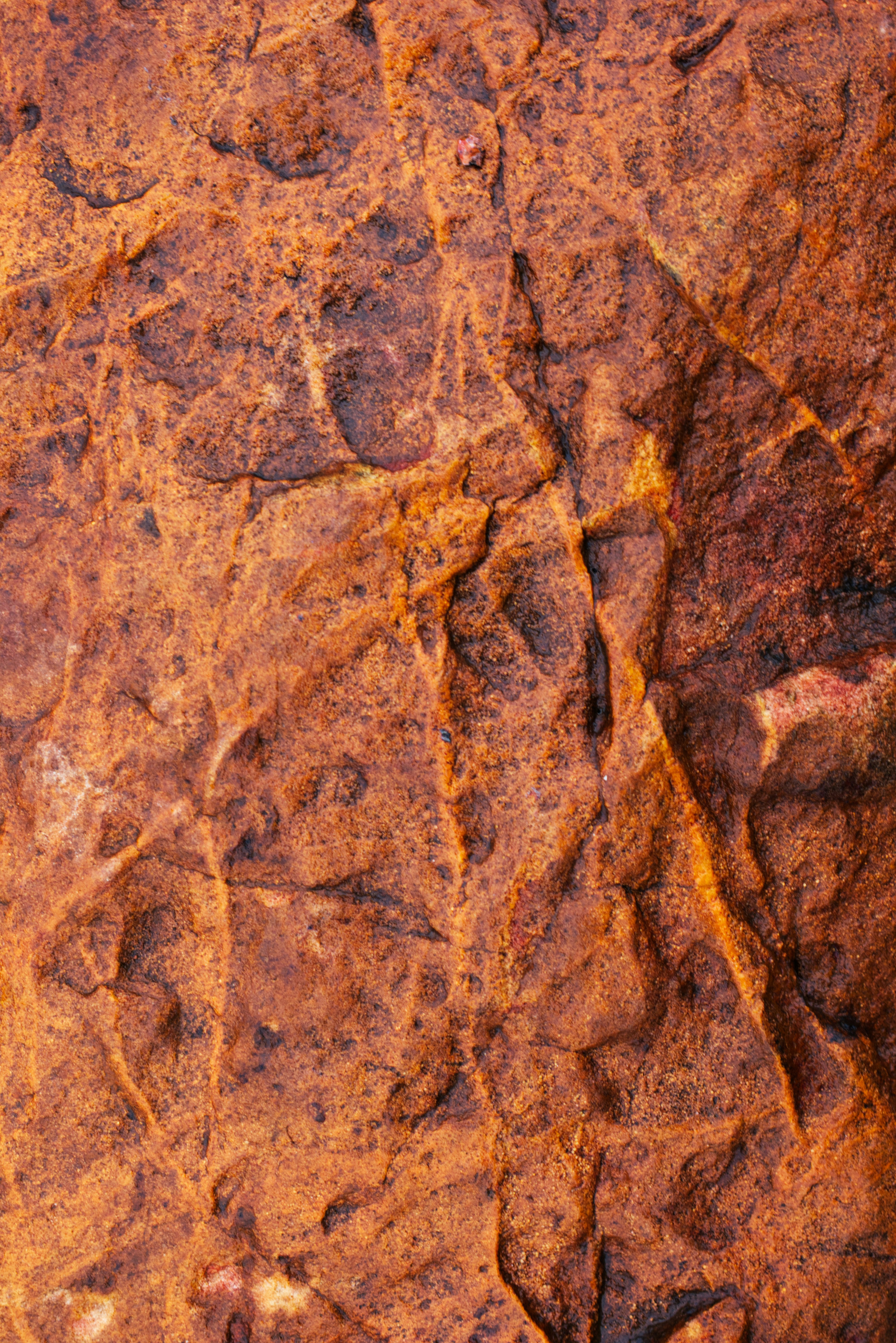 Photo by ldpeterson11