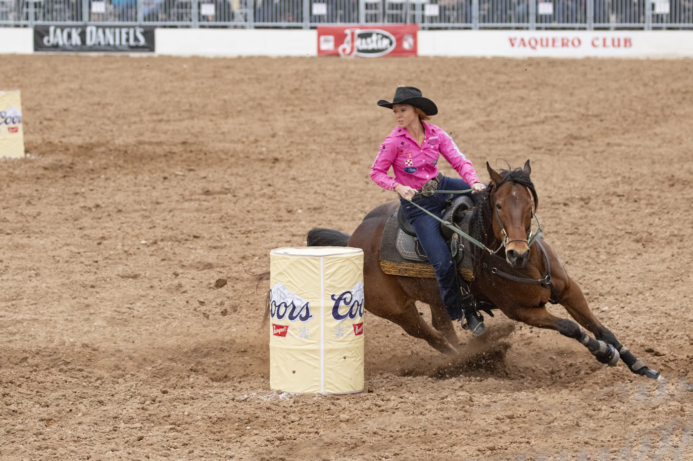 Rider on a brown horse