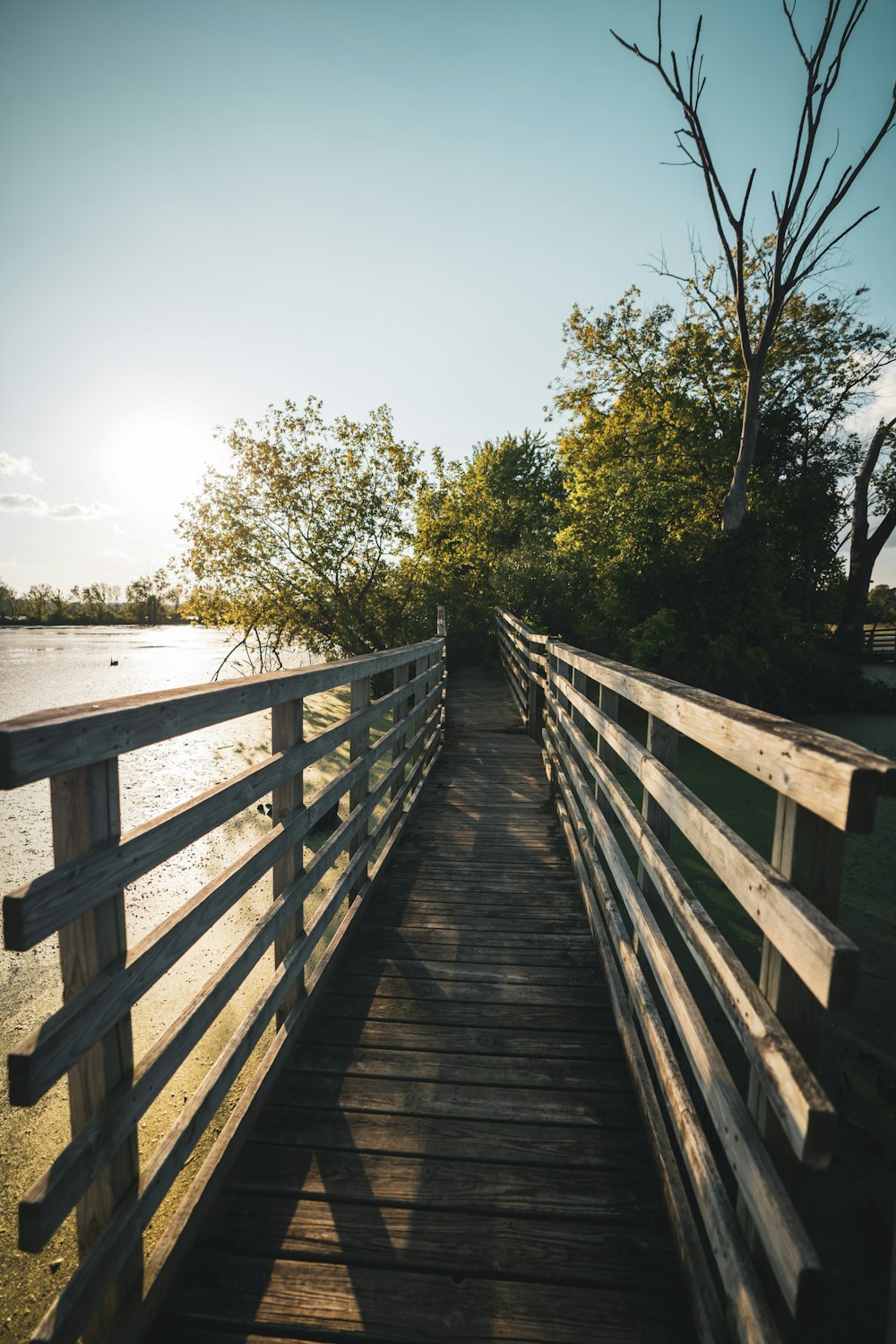 brown wooden bridge over body of water during daytime