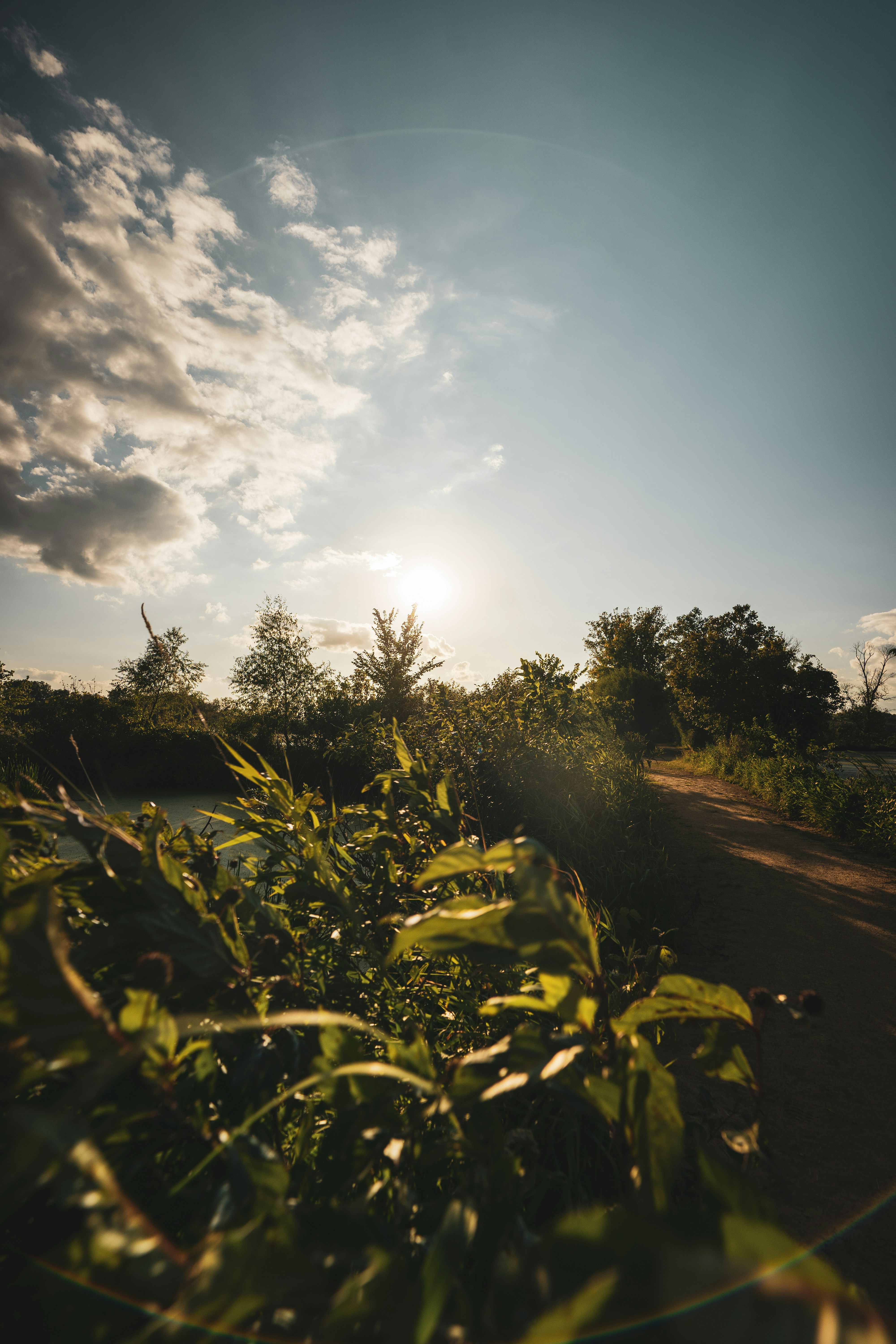 Containers in La Crosse, KS