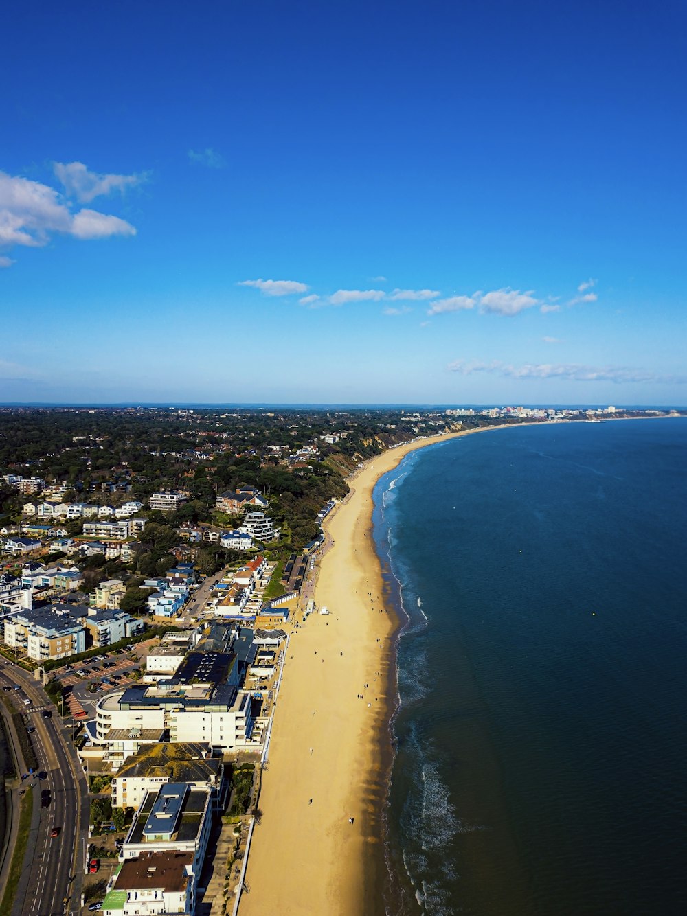 aerial view of city buildings near sea during daytime