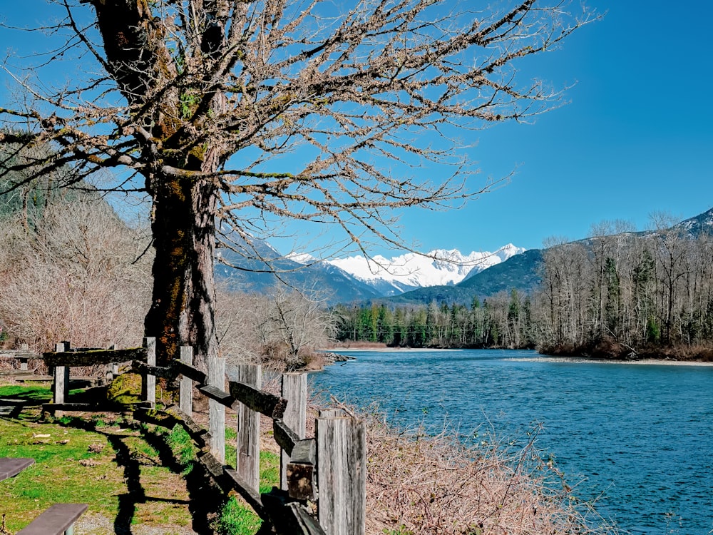 brown wooden fence near lake during daytime