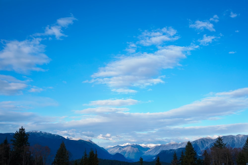 green trees on mountain under blue sky during daytime