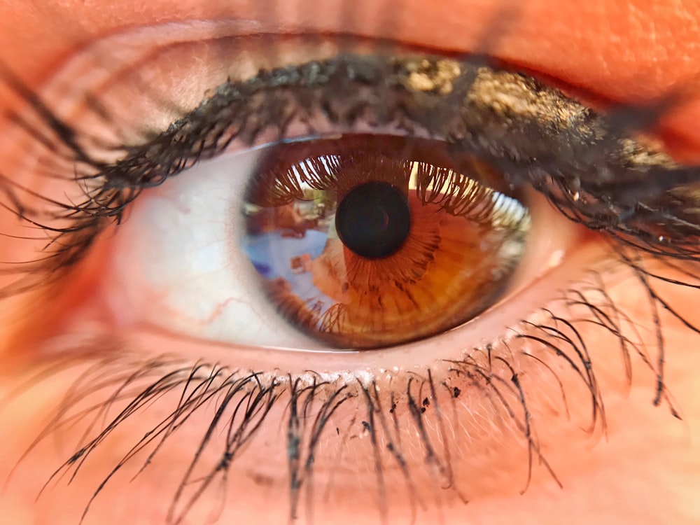 persons eye with black and brown