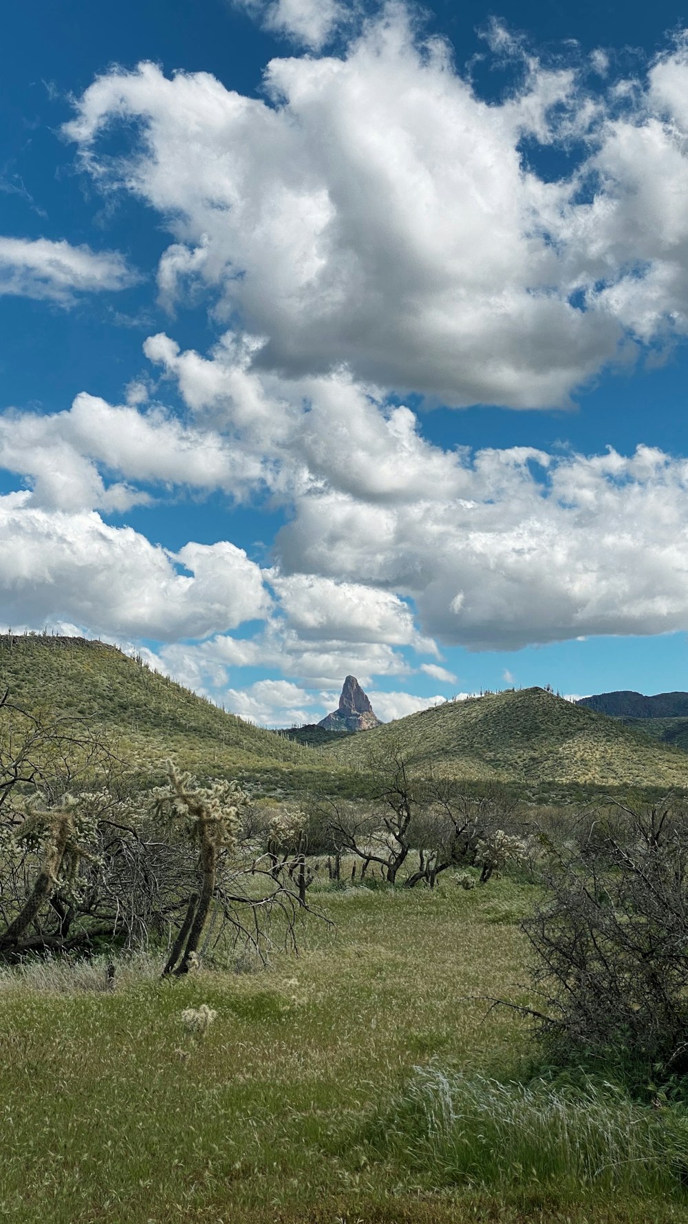 campo de hierba verde bajo nubes blancas y cielo azul durante el día