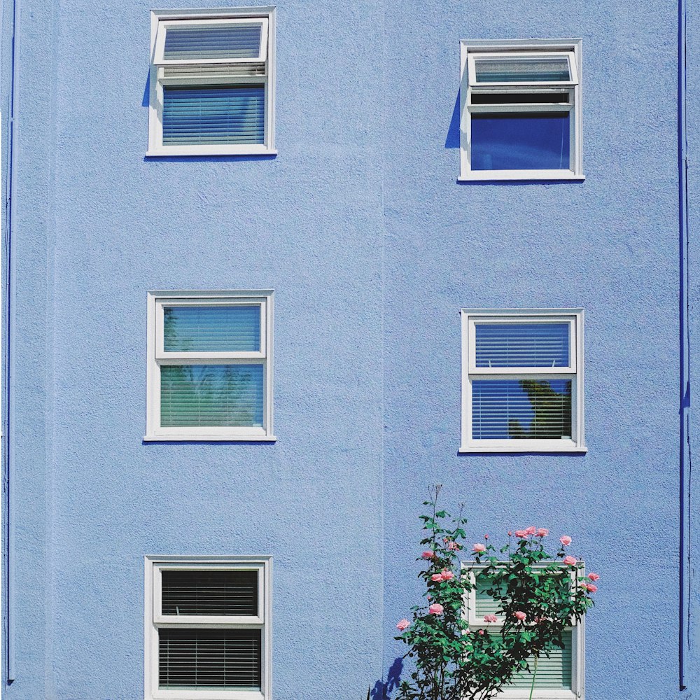 blue and white concrete building