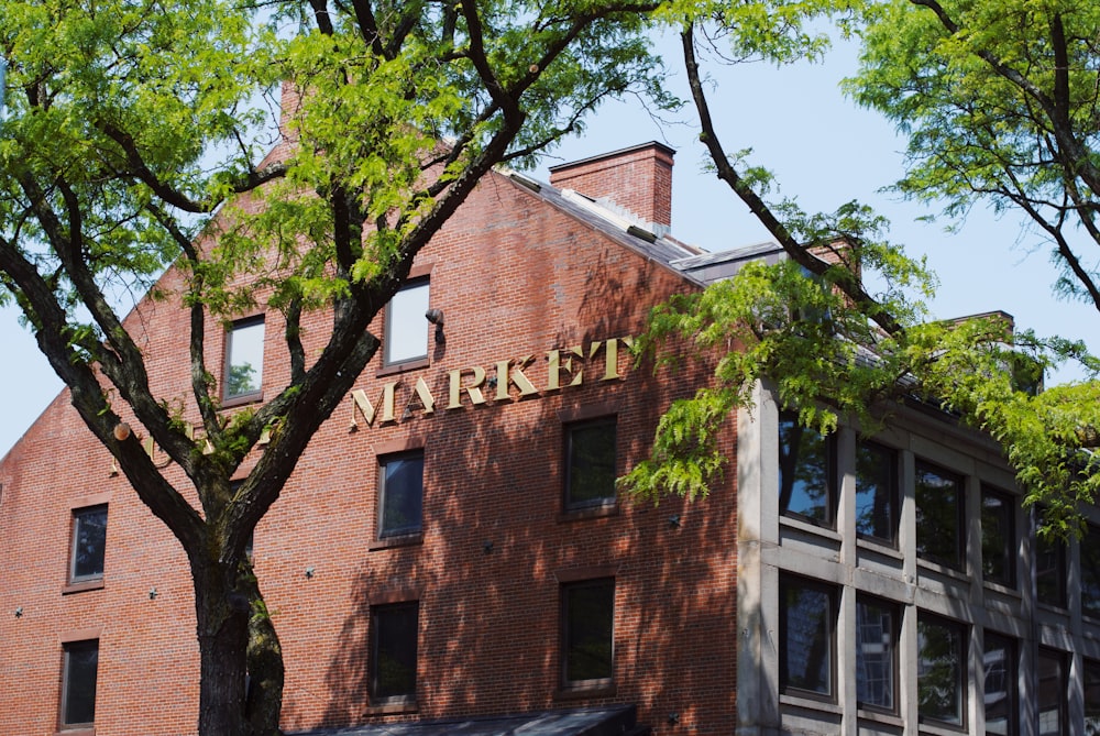 brown concrete building near green tree during daytime