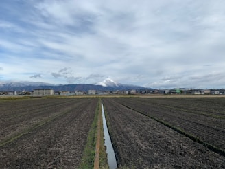 A vast agricultural field stretches towards the horizon with neatly lined furrows. In the distance, residential buildings are visible along with snow-capped mountains under a cloudy sky.