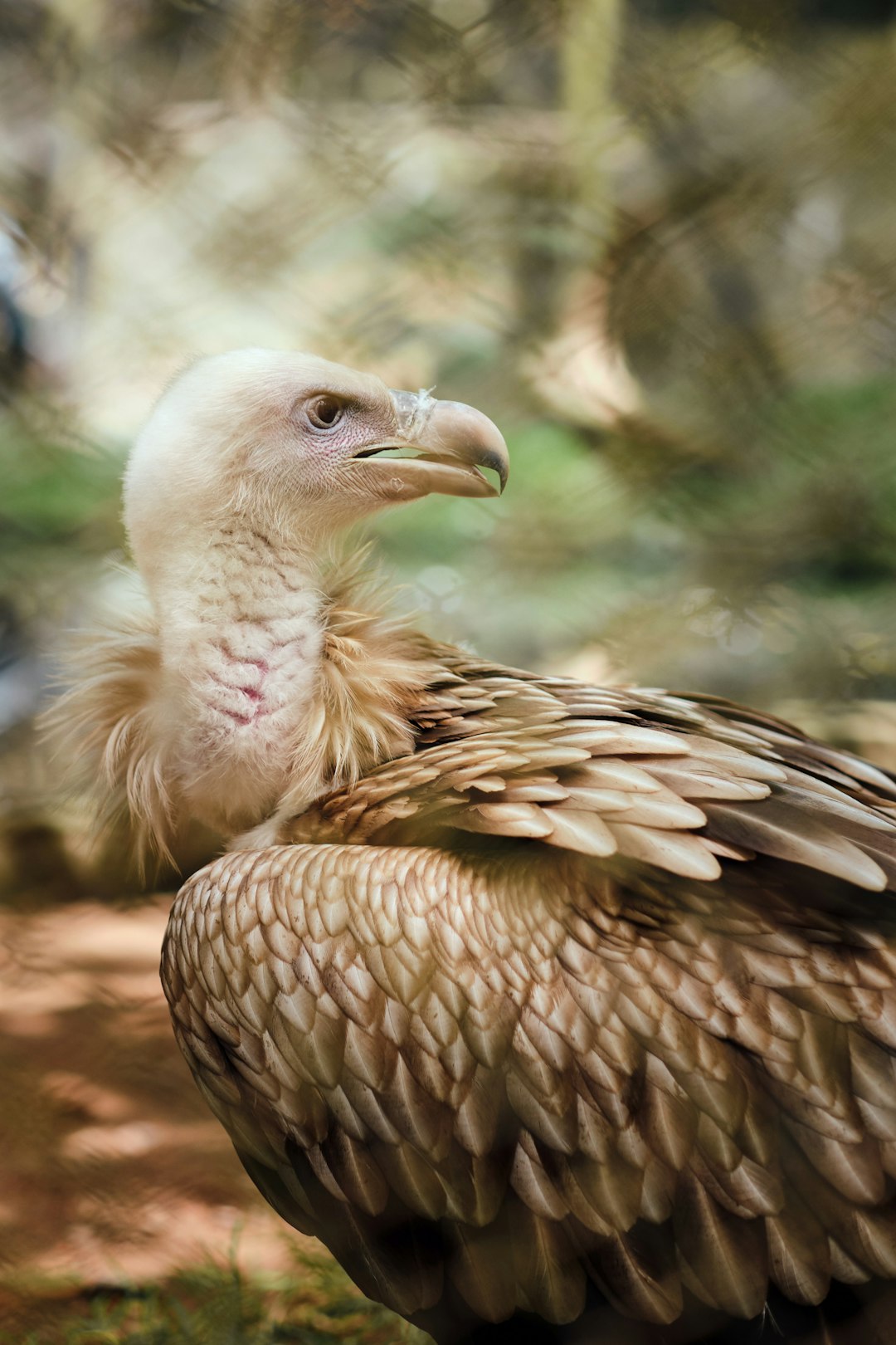 travelers stories about Wildlife in Trivandrum, India